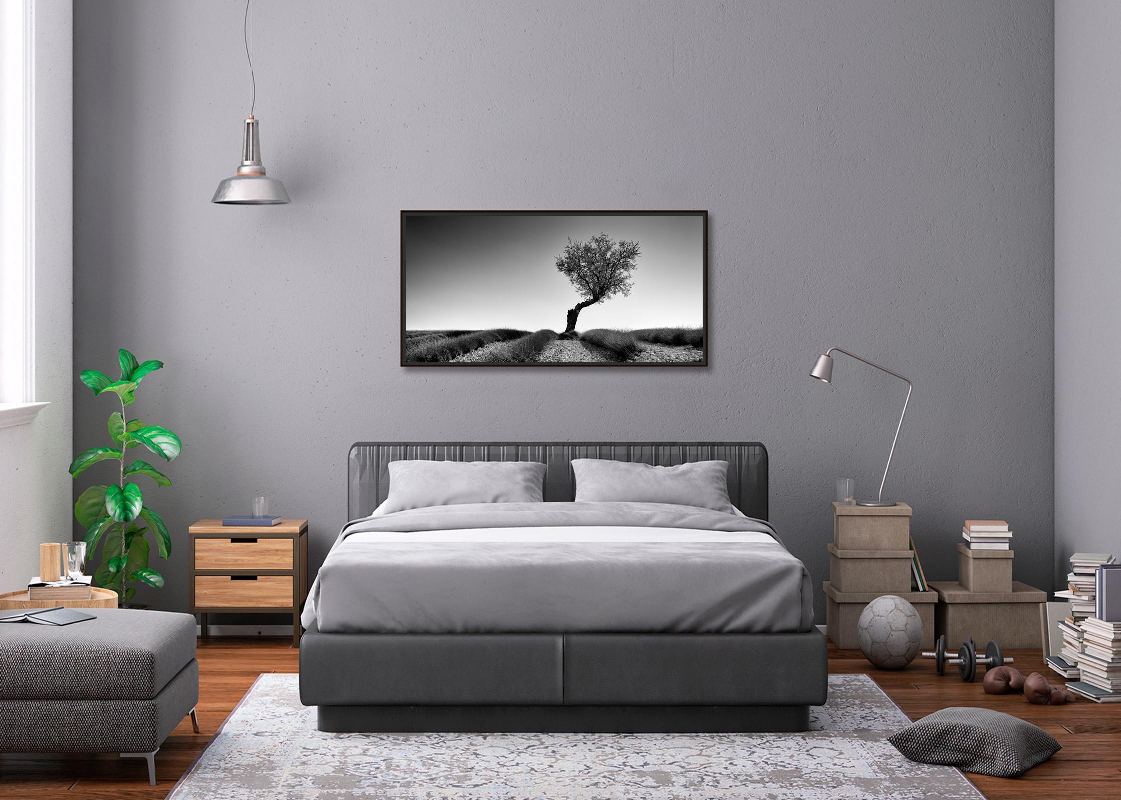 Lavender Field with Tree Panorama, black and white photography, art landscape For Sale 3