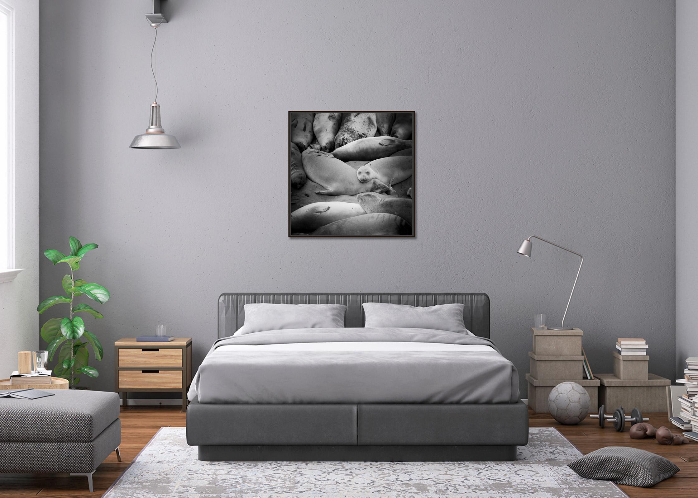 Lazy Sunday Afternoon See Lion Beach California black and white landscape print - Contemporary Photograph by Gerald Berghammer