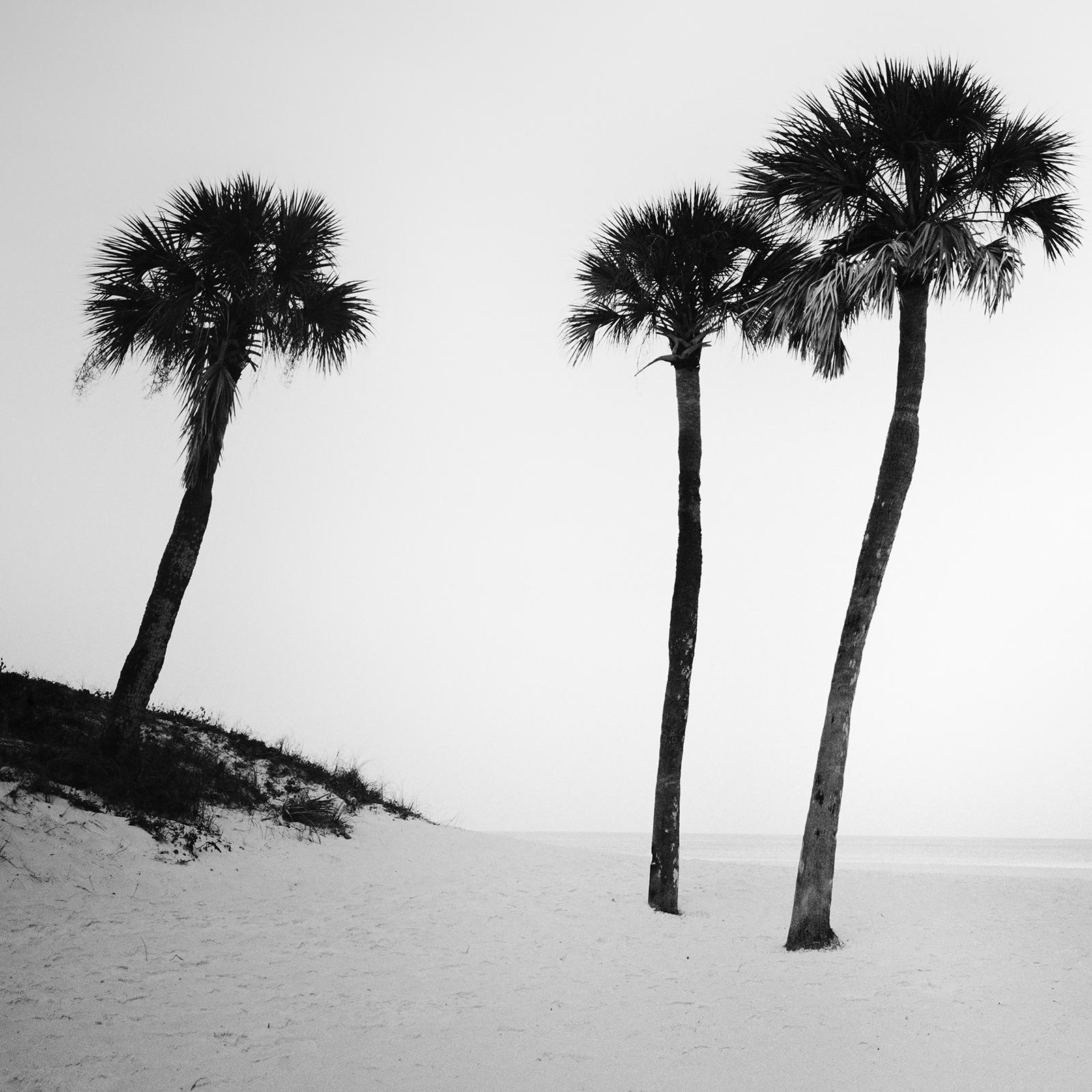 Lifeguard Tower, Miami Beach, Florida, USA, black & white landscape photography For Sale 4