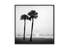 Lifeguard Tower, Palm Trees, Miami Beach, black and white photography, landscape