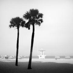 Torre di salvataggio, palme, Miami Beach, fotografia monocromatica, edizione limitata