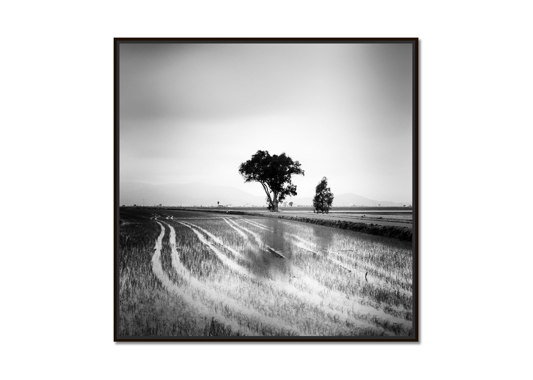 Lines in the Ricefield, Spain, black and white long exposure landscape photo - Photograph by Gerald Berghammer