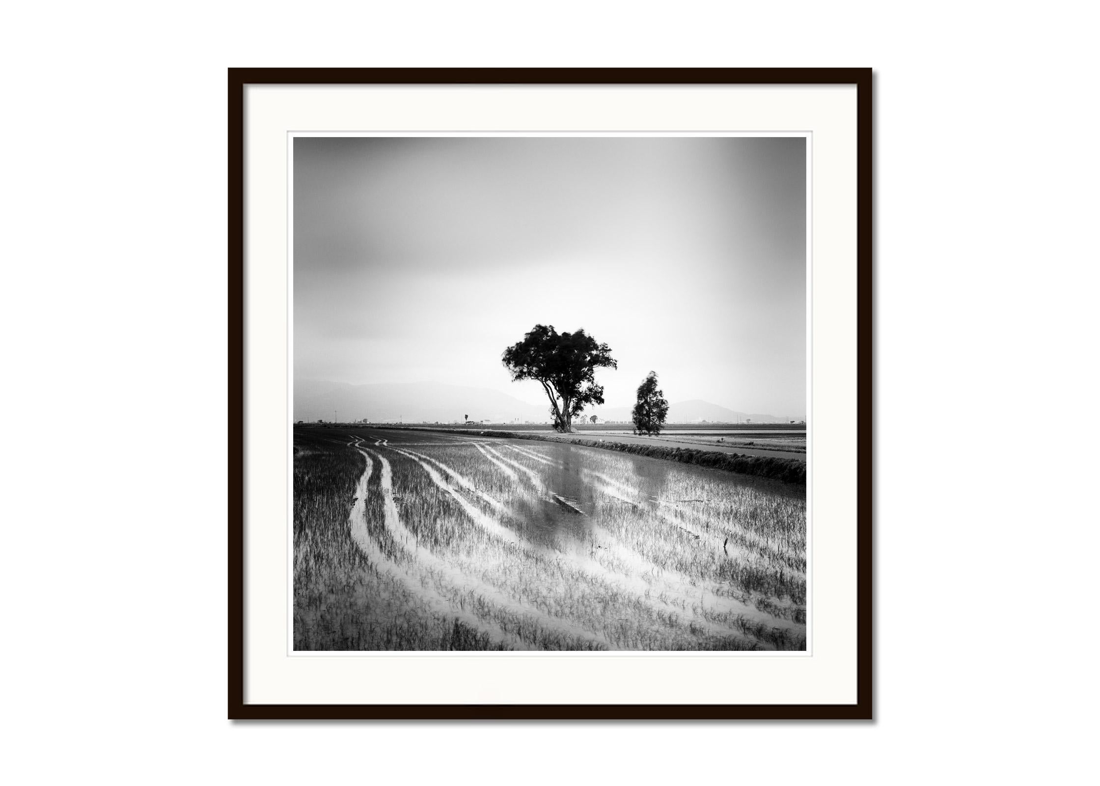 Lines in the Ricefield, Spanien, Schwarz-Weiß-Landschaftsfoto mit Langzeitbelichtungsbelichtung (Grau), Black and White Photograph, von Gerald Berghammer