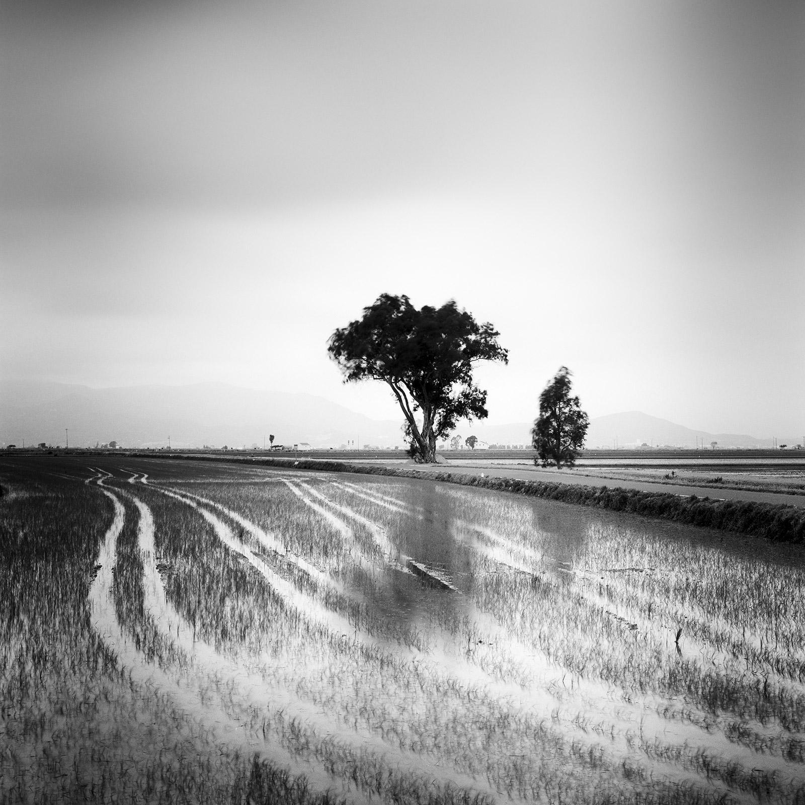 Lines in the Ricefield, Spanien, Schwarz-Weiß-Landschaftsfoto mit Langzeitbelichtungsbelichtung