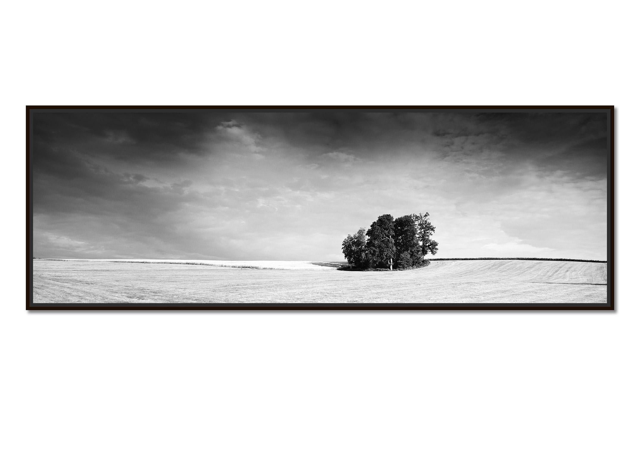 Little Green Island, panorama, black and white, fine art landscape photography - Photograph by Gerald Berghammer
