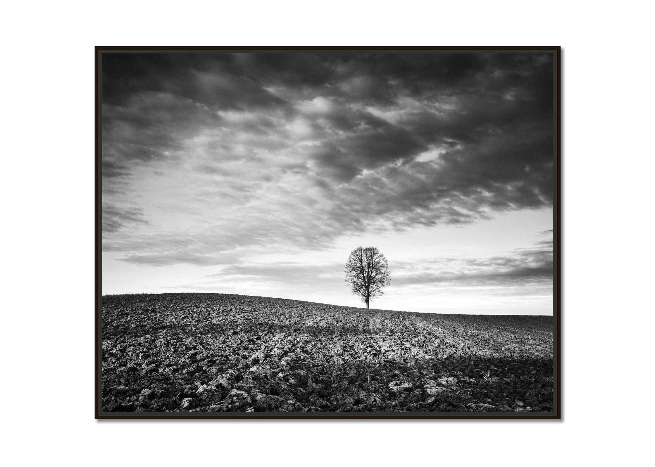 Lonely Tree, Storm, Field, black and white fine art landscape photography print - Photograph by Gerald Berghammer