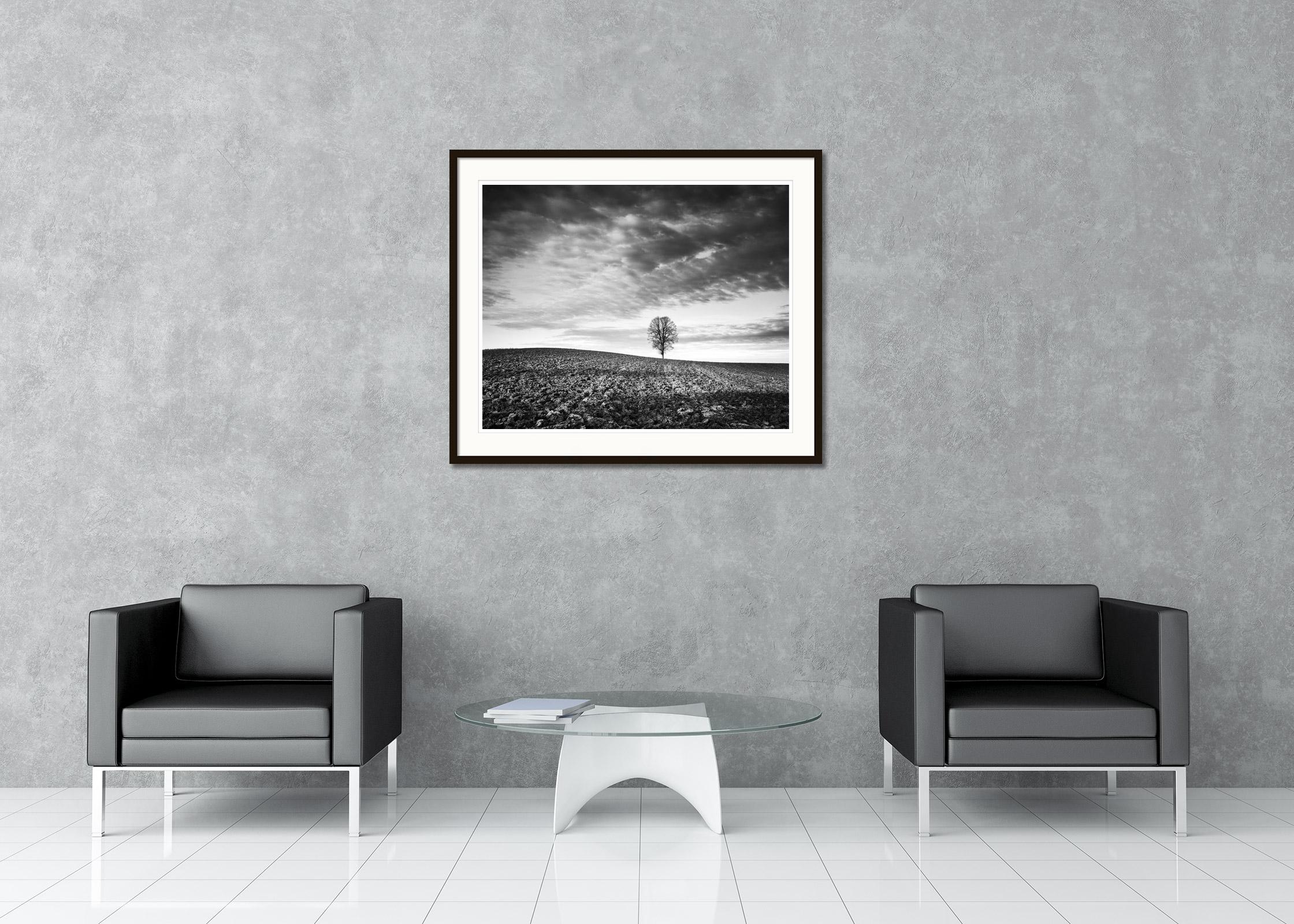 Lonely Tree, Storm, Field, black and white fine art landscape photography print - Contemporary Photograph by Gerald Berghammer