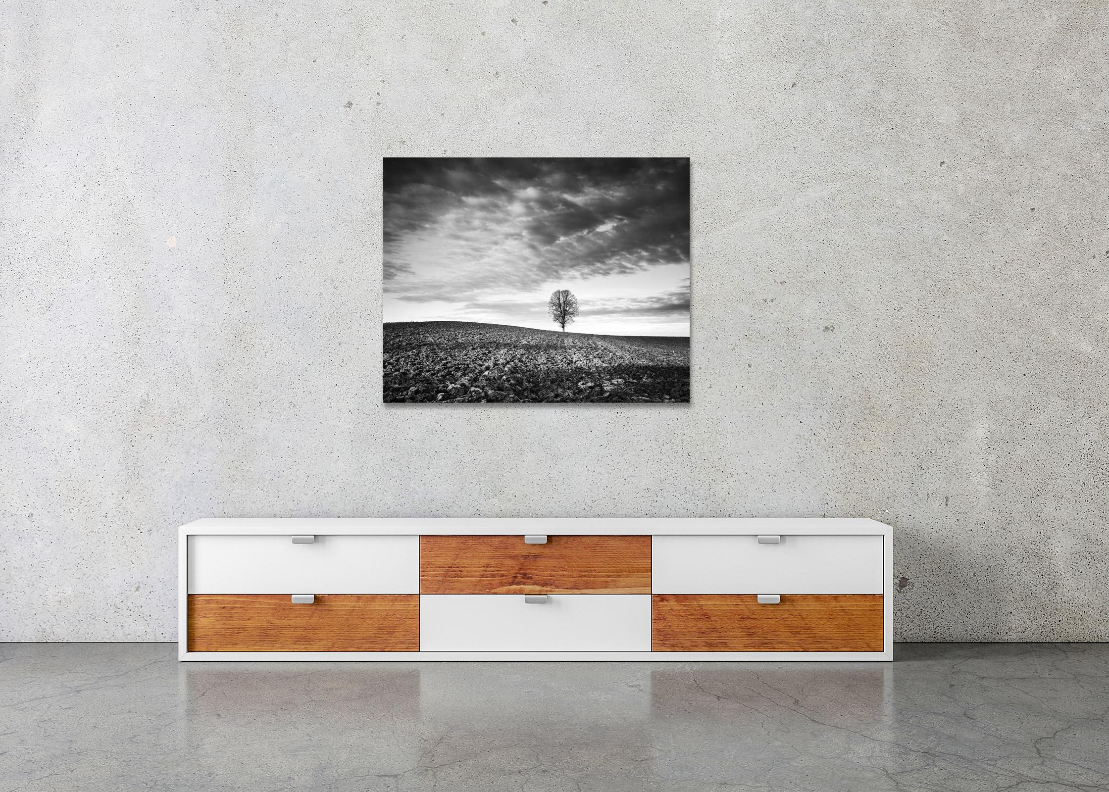 Black and White Fine Art Photography - Lonely Tree, Field, Storm, Field, Clouds, Austria. Archival pigment ink print, edition of 7. Signed, titled, dated and numbered by artist. Certificate of authenticity included. Printed with 4cm white