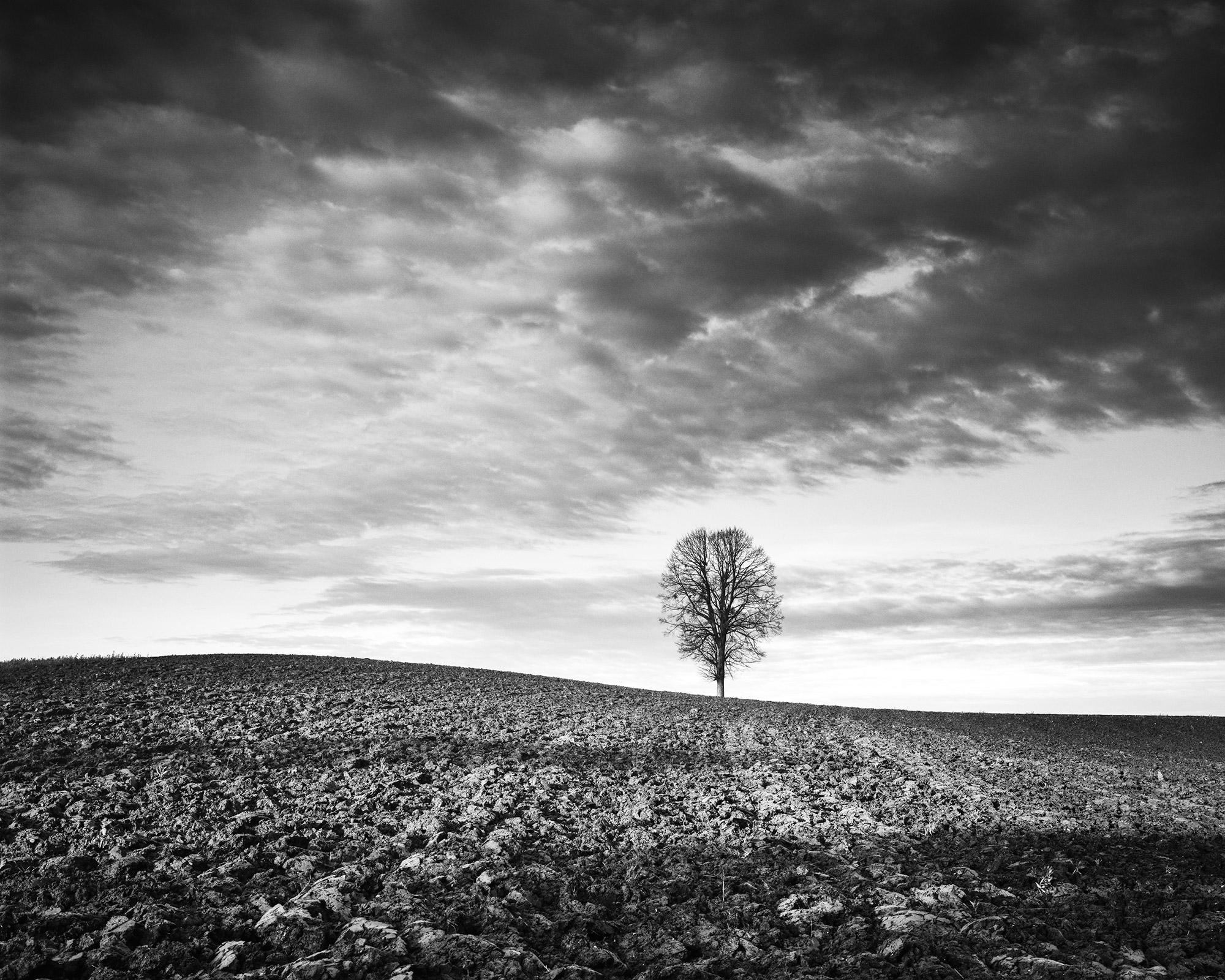 Gerald Berghammer Landscape Photograph - Lonely Tree, Storm, Field, black and white fine art landscape photography print