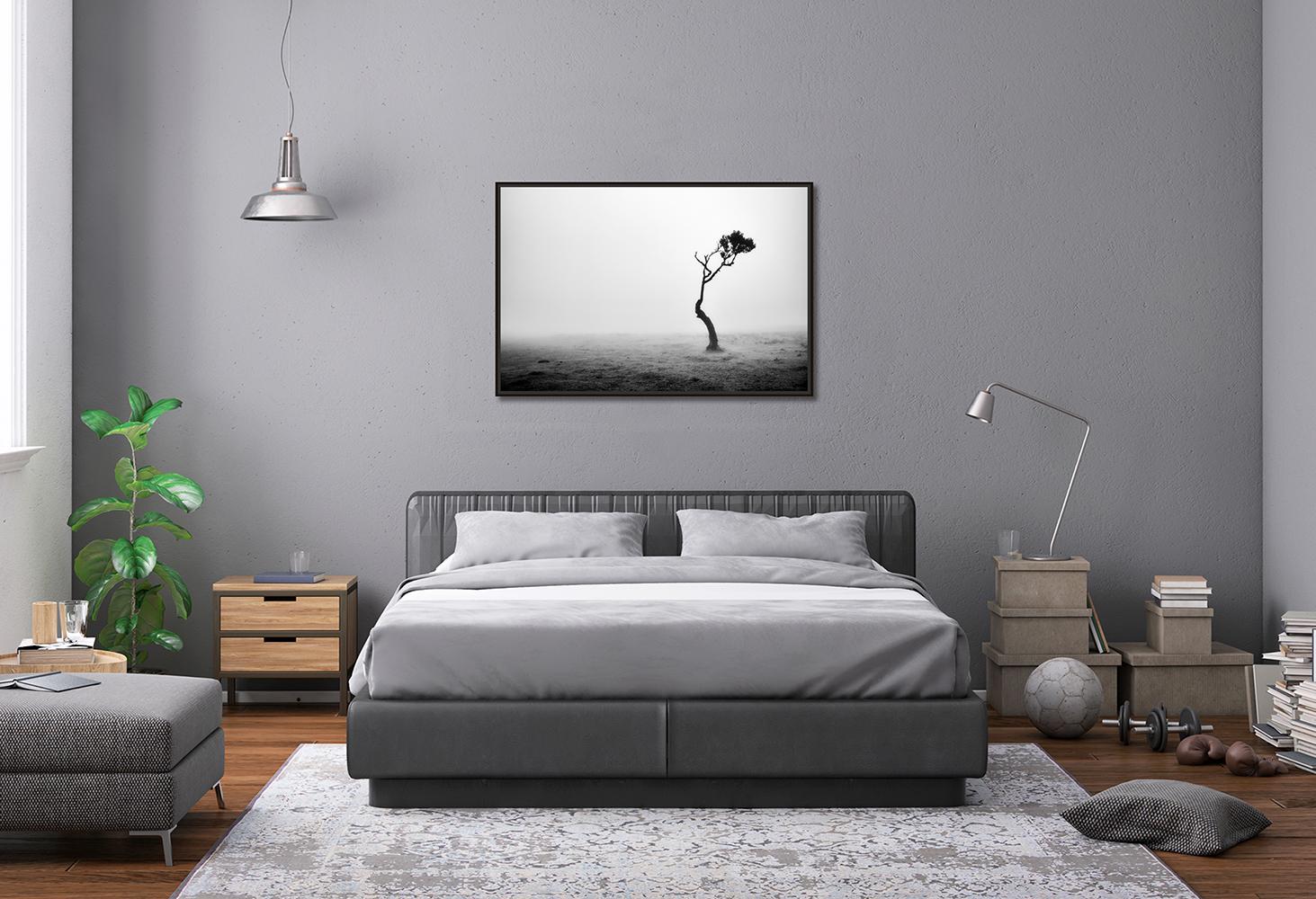 Lonely Tree, Foggy Morning, monochrome landscape photograph, limited edition For Sale 1