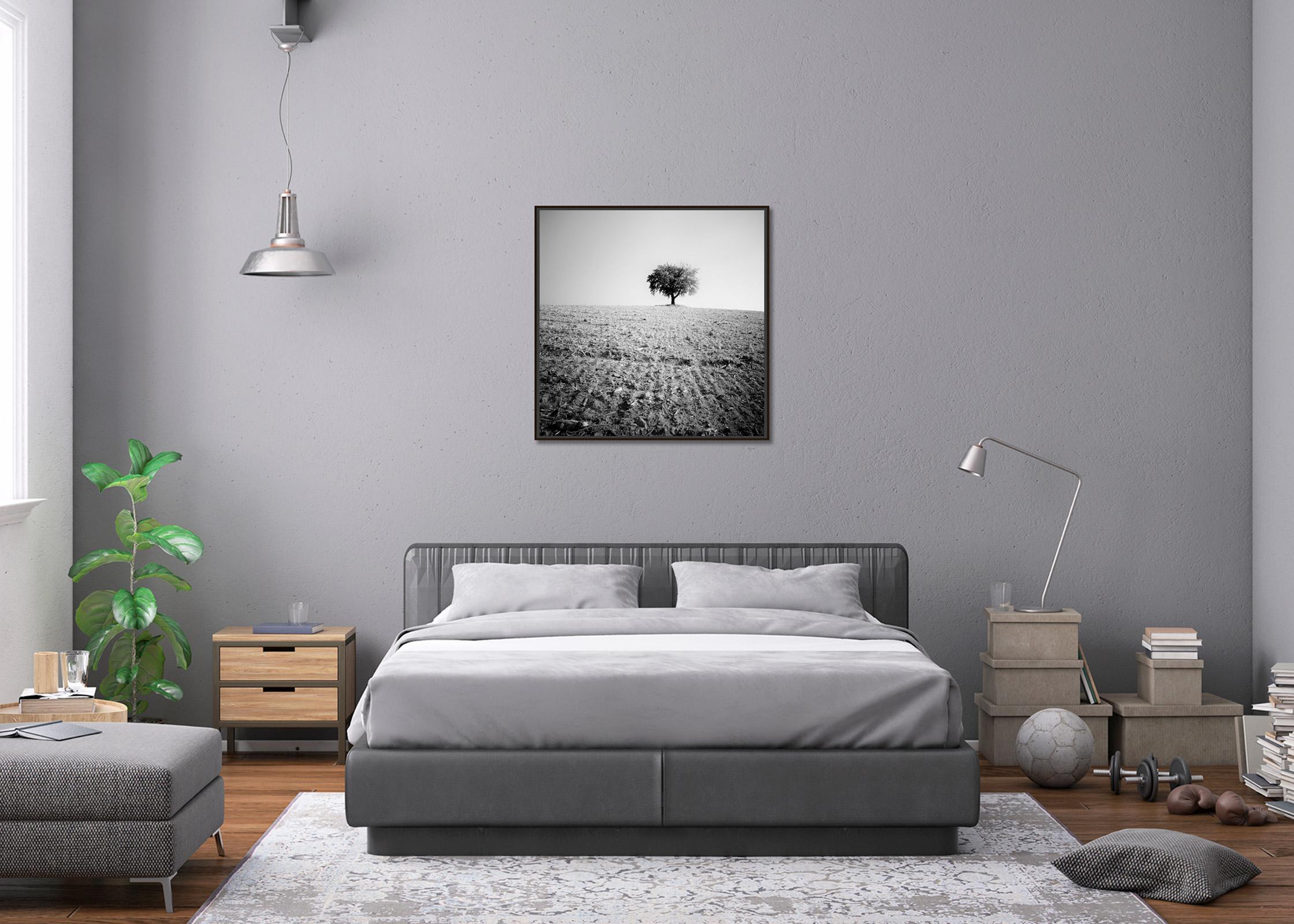 Arbre solitaire, champ moissonné, photographie minimaliste en noir et blanc, paysage en vente 2