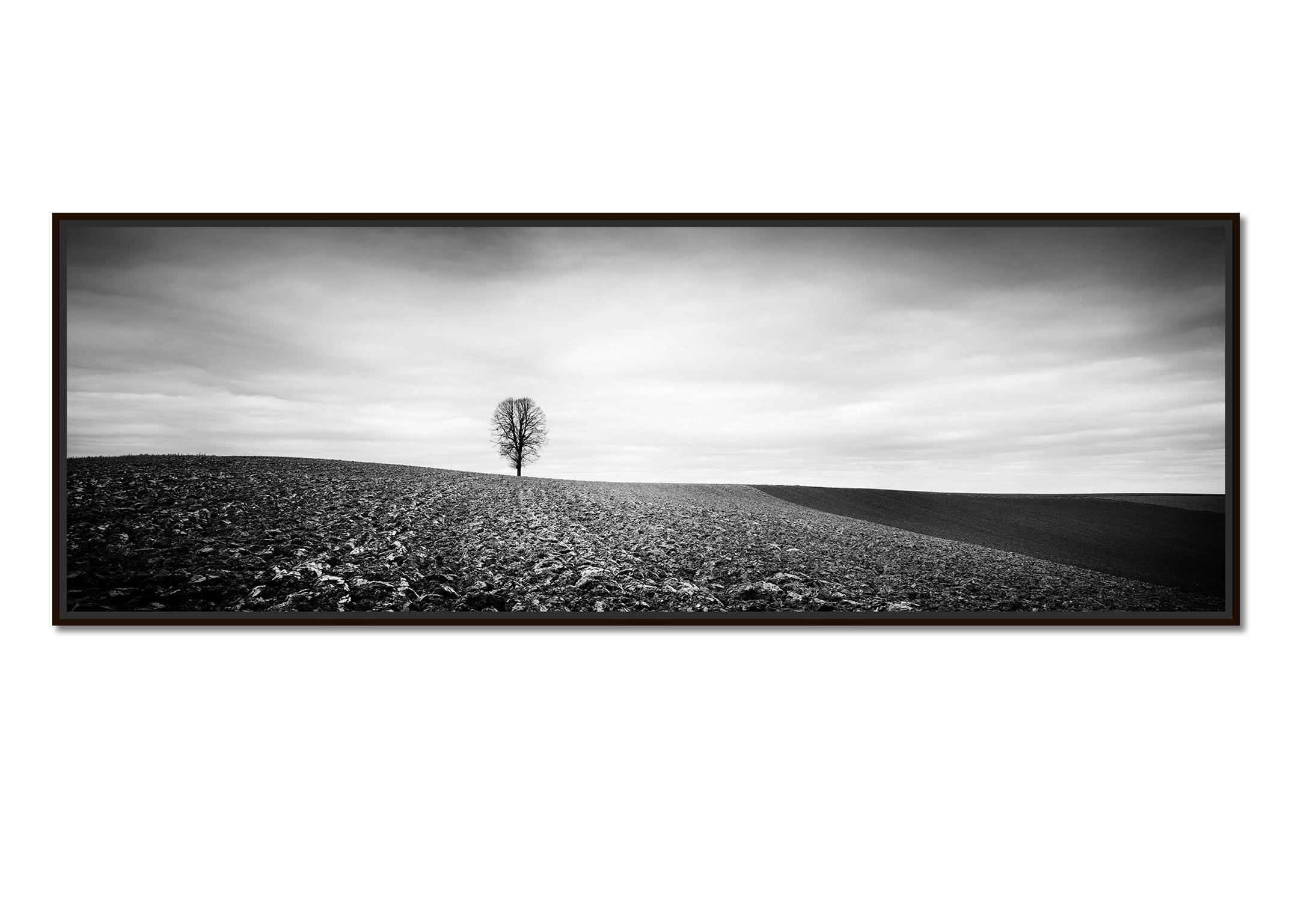 Einsamer Baum Panorama Bauernland Österreich Schwarz-Weiß-Kunst-Landschaftsfotografie – Photograph von Gerald Berghammer