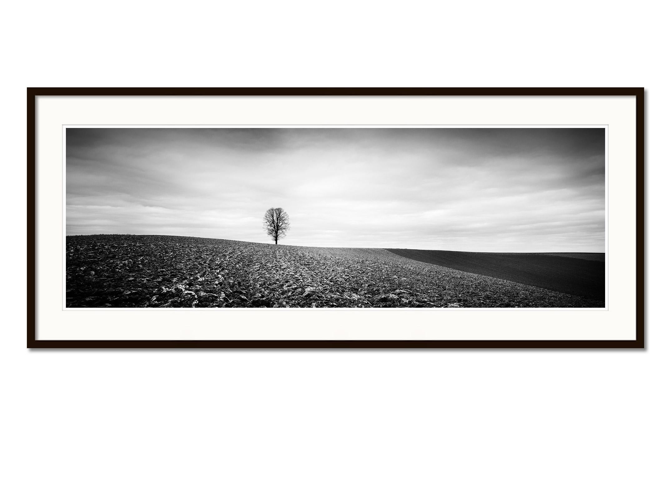 Einsamer Baum Panorama Bauernland Österreich Schwarz-Weiß-Kunst-Landschaftsfotografie (Grau), Black and White Photograph, von Gerald Berghammer