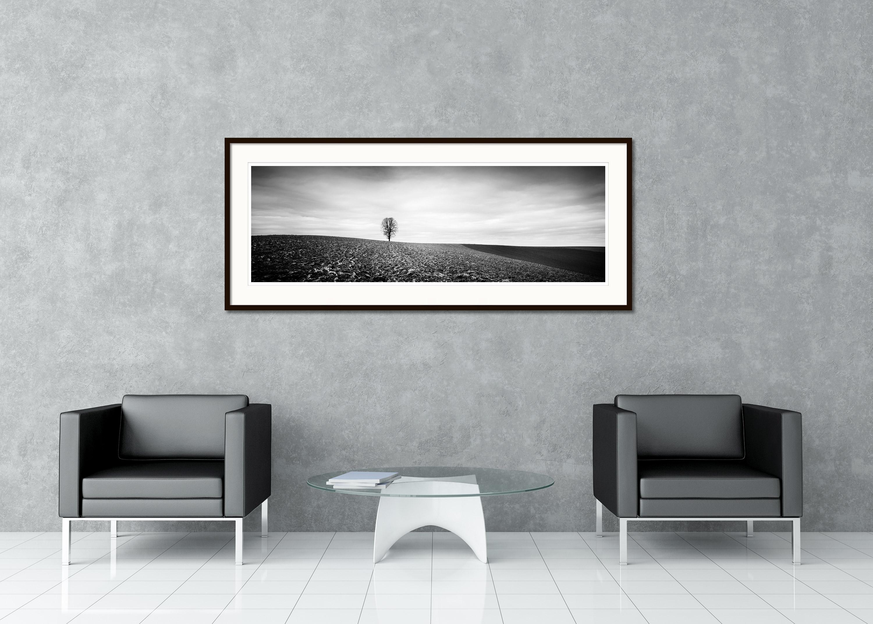 Lonely Tree Panorama farmland Austria black white fine art landscape photography - Contemporary Photograph by Gerald Berghammer