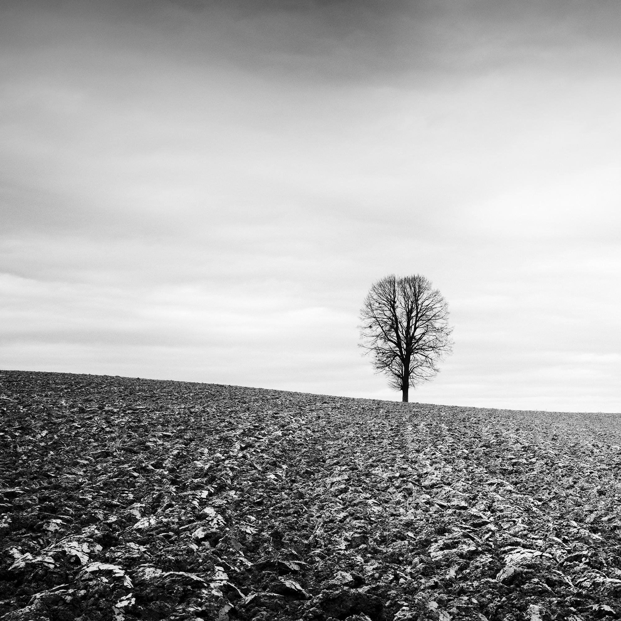 Einsamer Baum Panorama Bauernland Österreich Schwarz-Weiß-Kunst-Landschaftsfotografie im Angebot 3