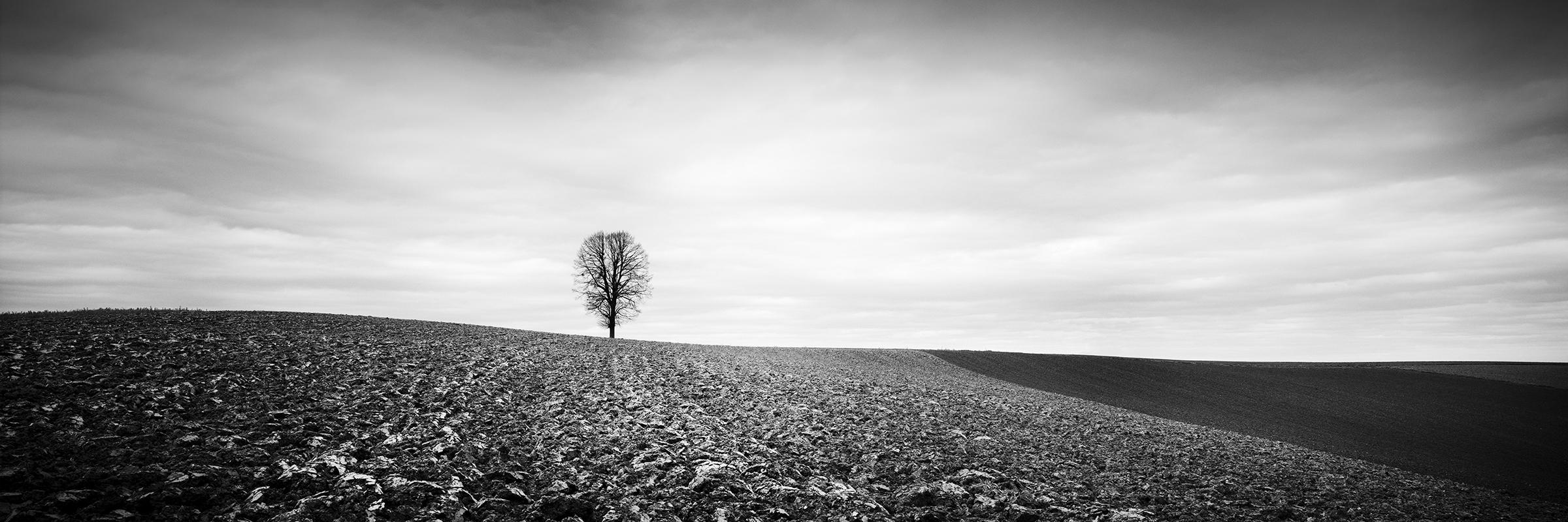 Gerald Berghammer Black and White Photograph - Lonely Tree Panorama farmland Austria black white fine art landscape photography