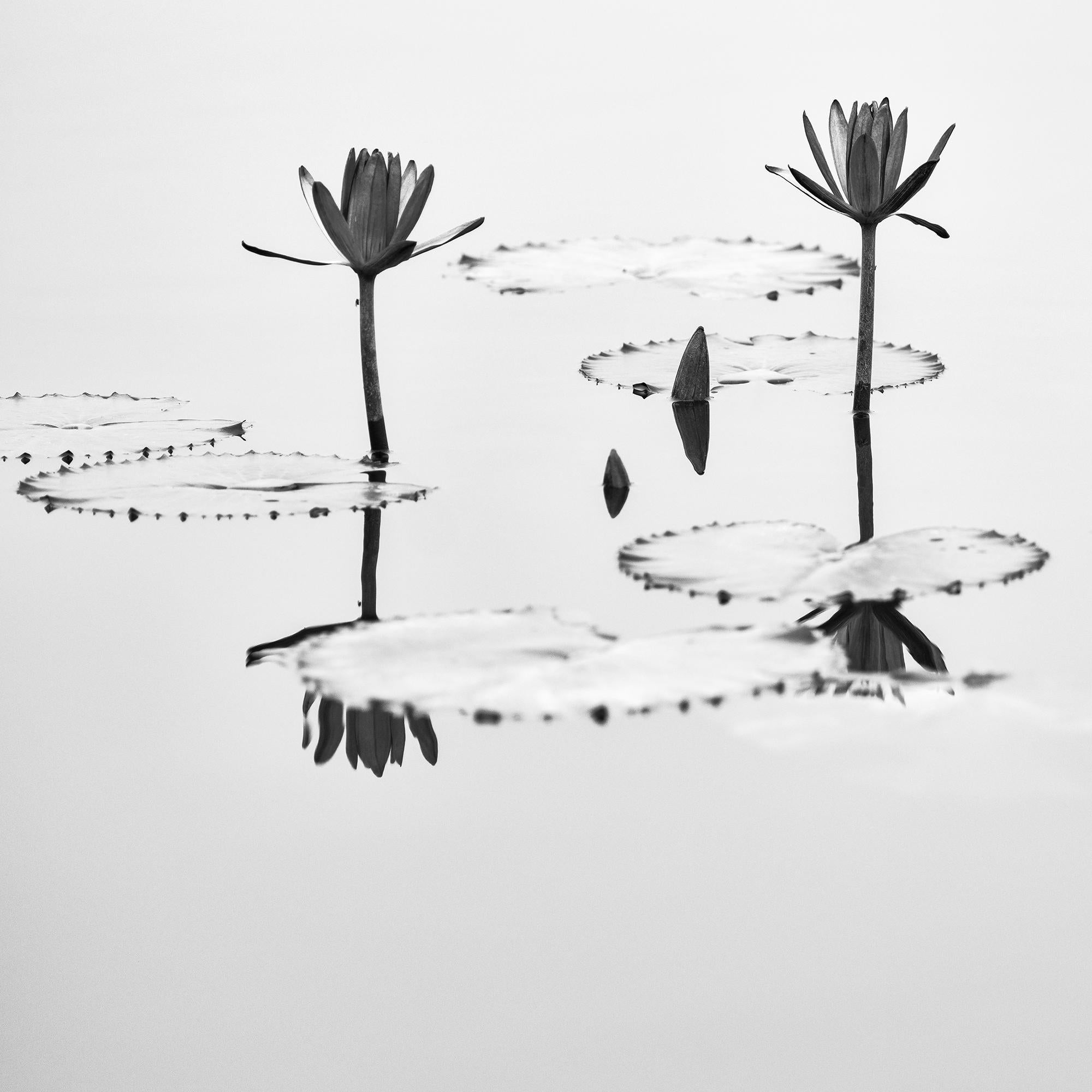 Fleur de lotus photographie végétale minimaliste monochrome édition limitée en vente 5