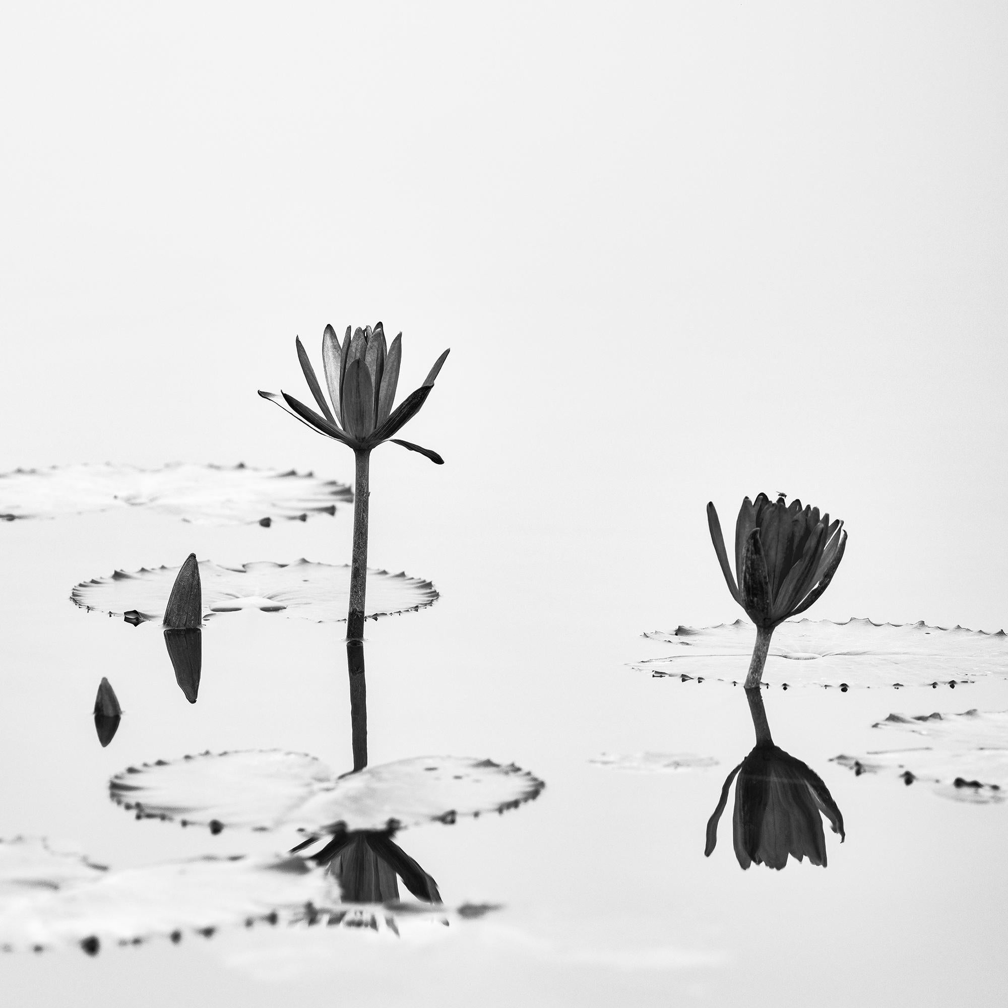 Fleur de lotus photographie végétale minimaliste monochrome édition limitée en vente 6