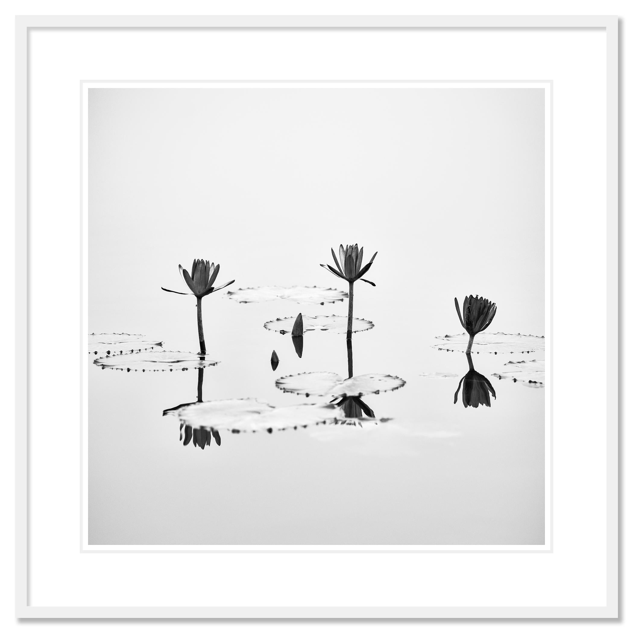 Fleur de lotus photographie végétale minimaliste monochrome édition limitée en vente 1