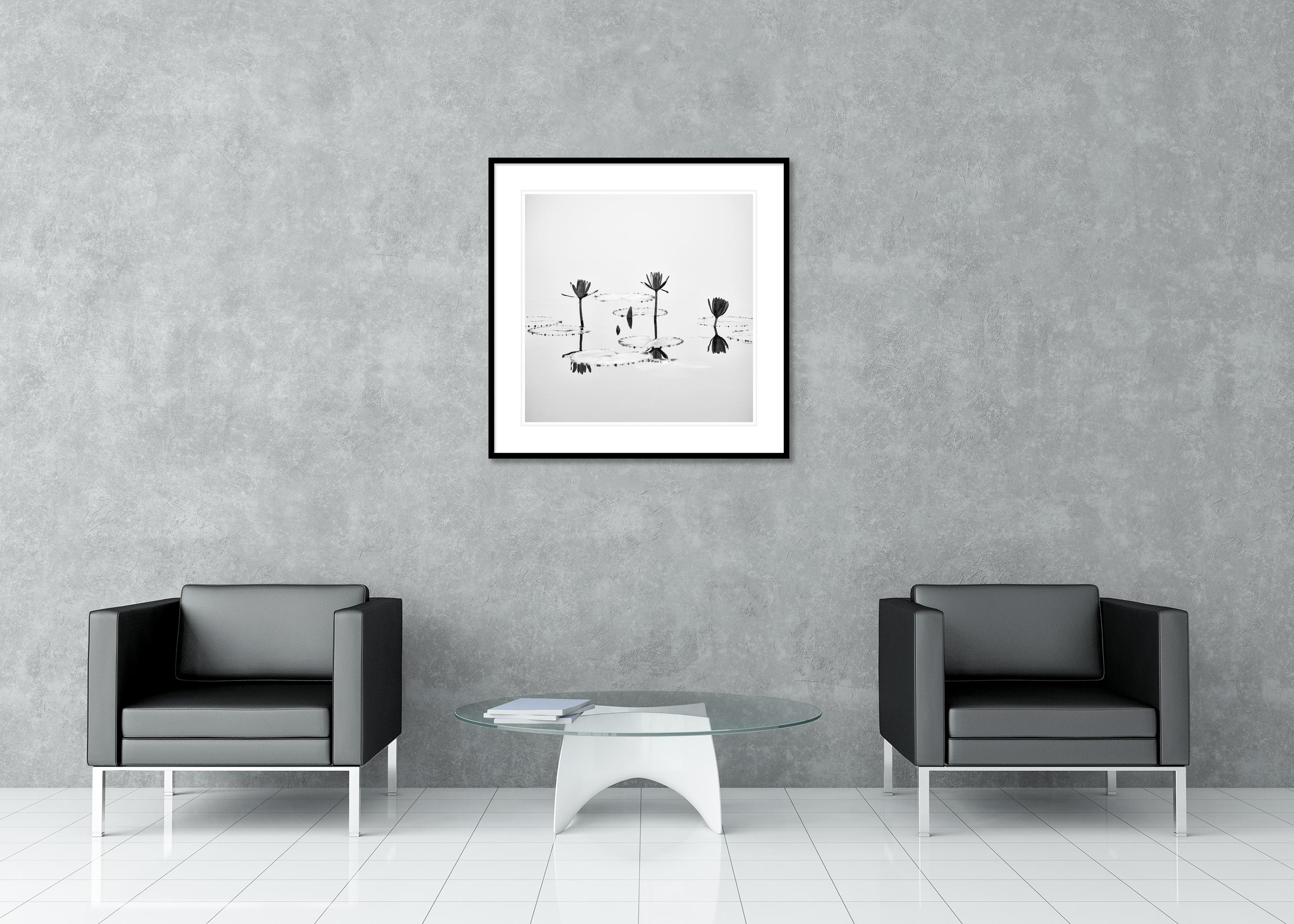 Fleur de lotus photographie végétale minimaliste monochrome édition limitée en vente 2