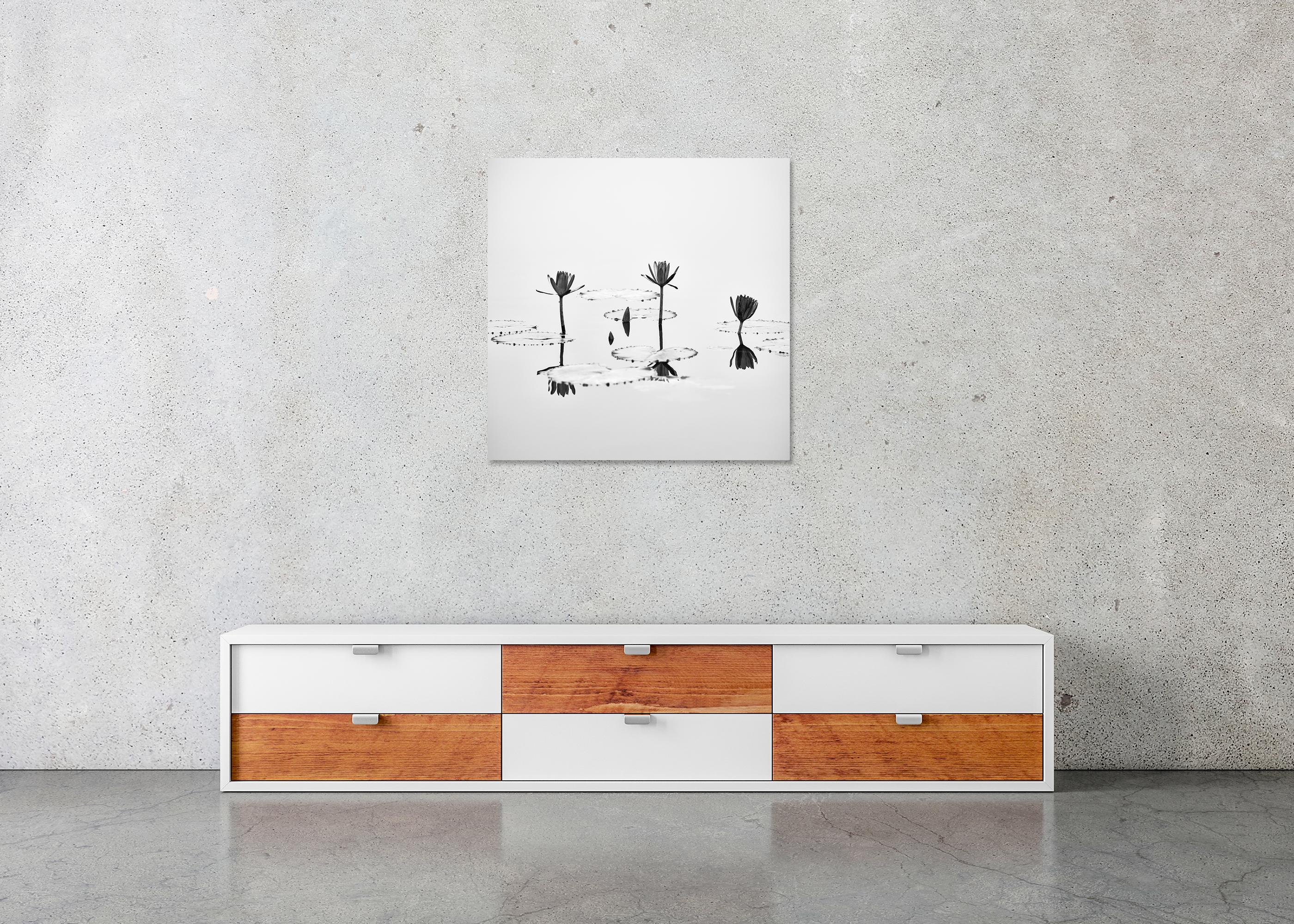 Fleur de lotus photographie végétale minimaliste monochrome édition limitée en vente 4