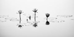 Landscape Photography