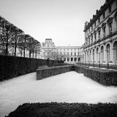 Louvre, Tree Avenue, Paris, France, black and white photography, cityscape
