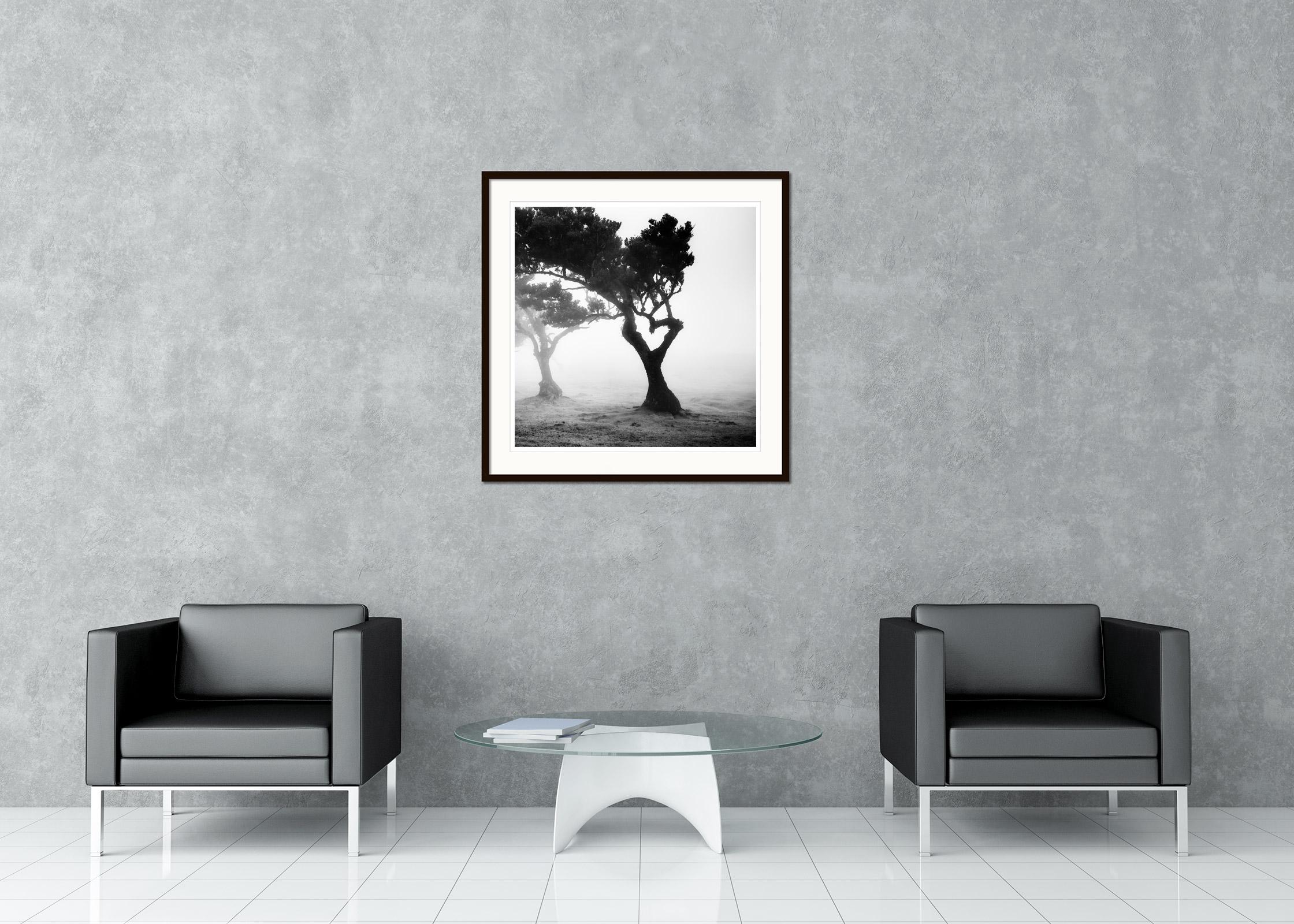 Black and White Fine Art long exposure waterscape photography. Tree in heart shape in fairy forest in fog on beautiful island of madeira. Archival pigment ink print, edition of 7. Signed, titled, dated and numbered by artist. Certificate of