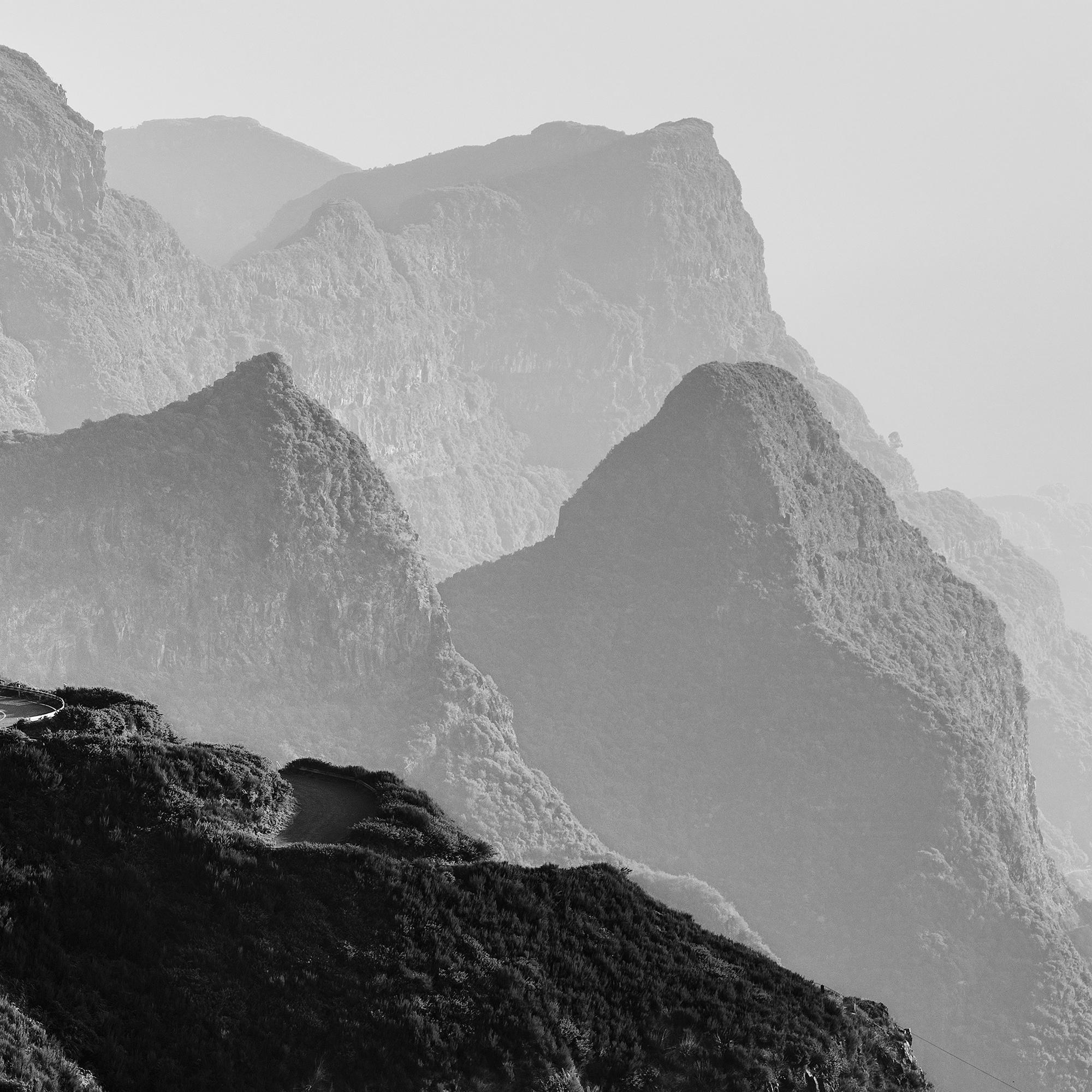 Madeira Peaks, Morgenlicht, Fanal, Portugal, Schwarz-Weiß-Landschaftsfotografie im Angebot 6