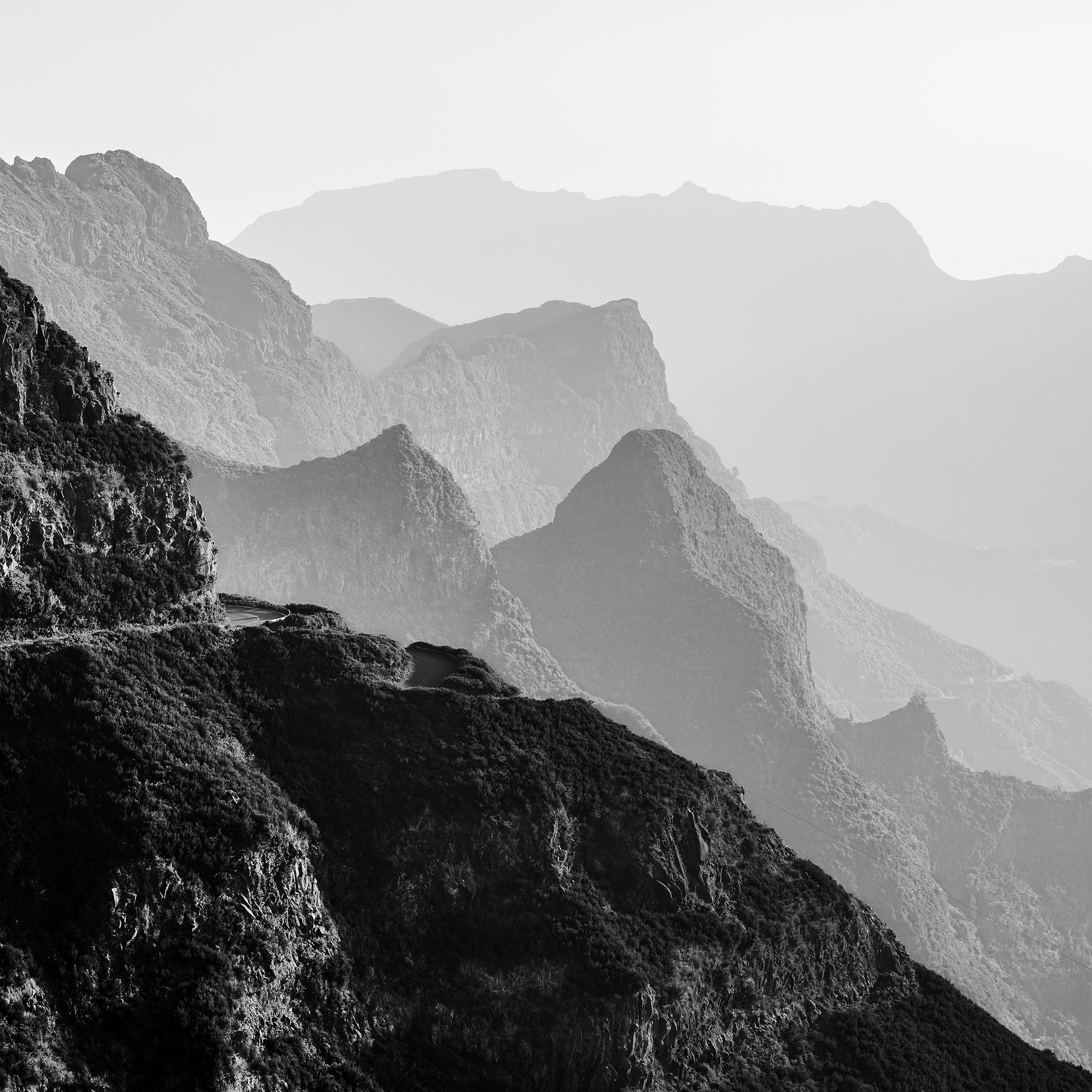 Madeira Peaks, morning Light, Fanal, Portugal, black white landscape photography For Sale 4