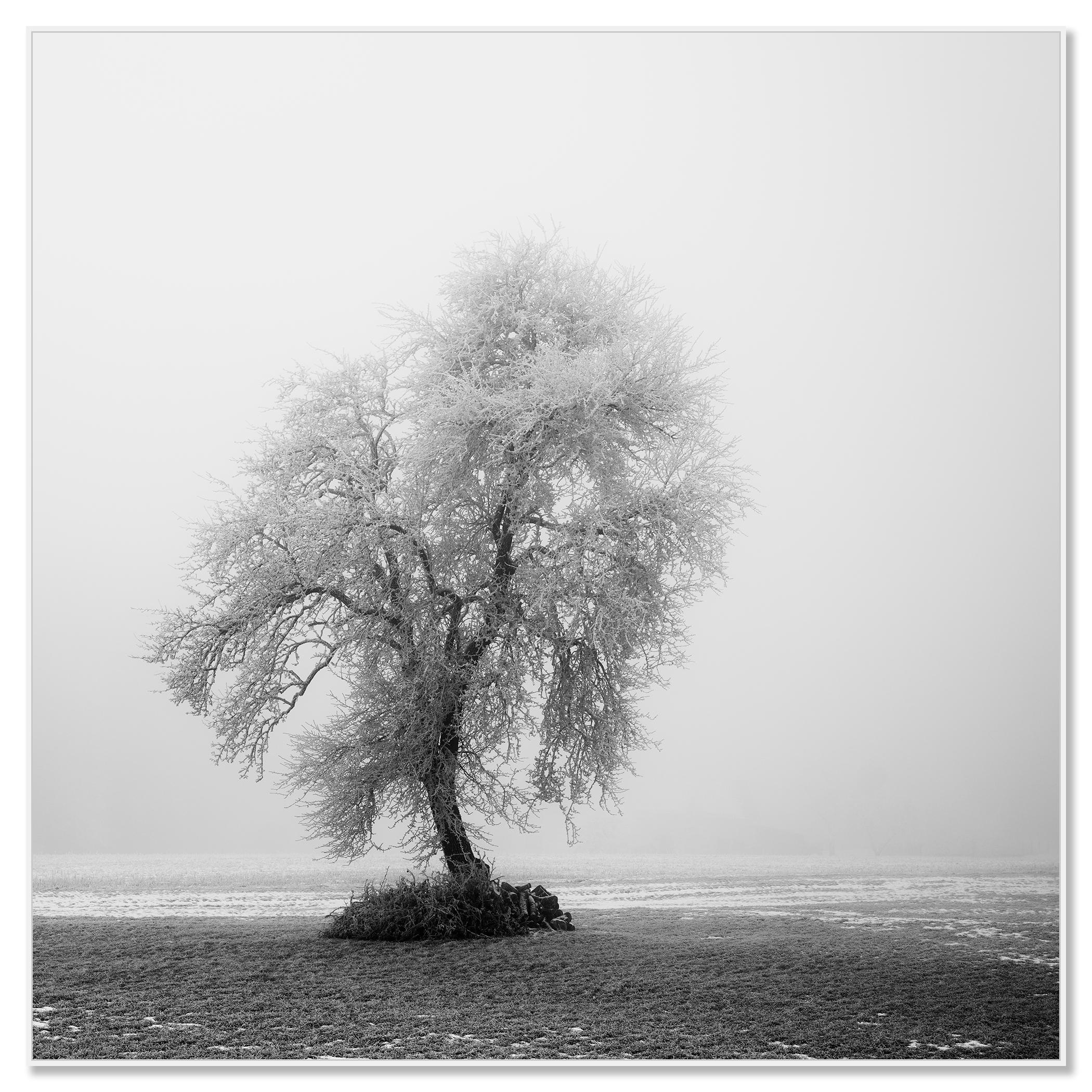 Paysage minimaliste, ferme givrée, terrain d'hiver, arbre solitaire, tirage limité - Contemporain Photograph par Gerald Berghammer
