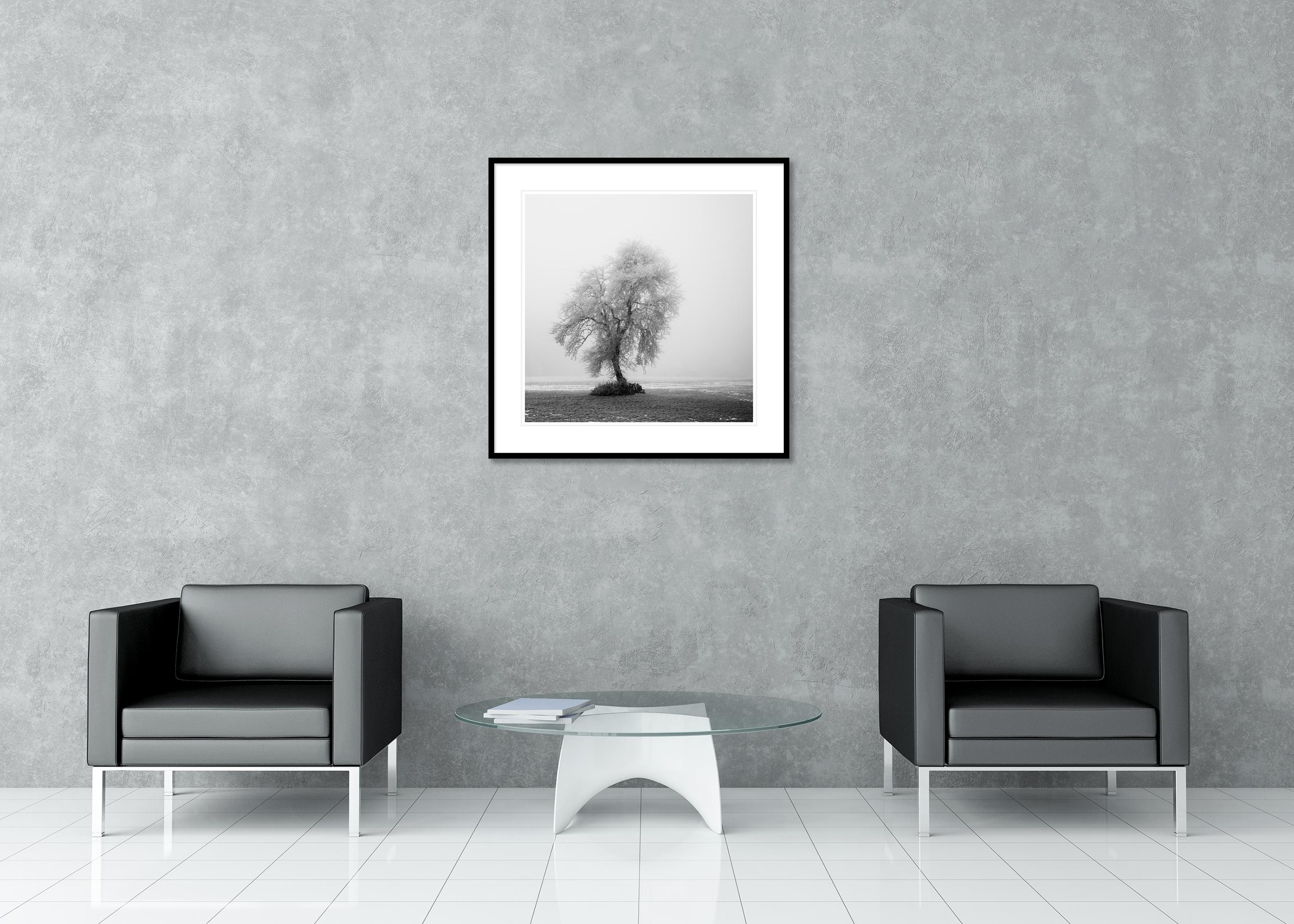 Paysage minimaliste, ferme givrée, terrain d'hiver, arbre solitaire, tirage limité en vente 2