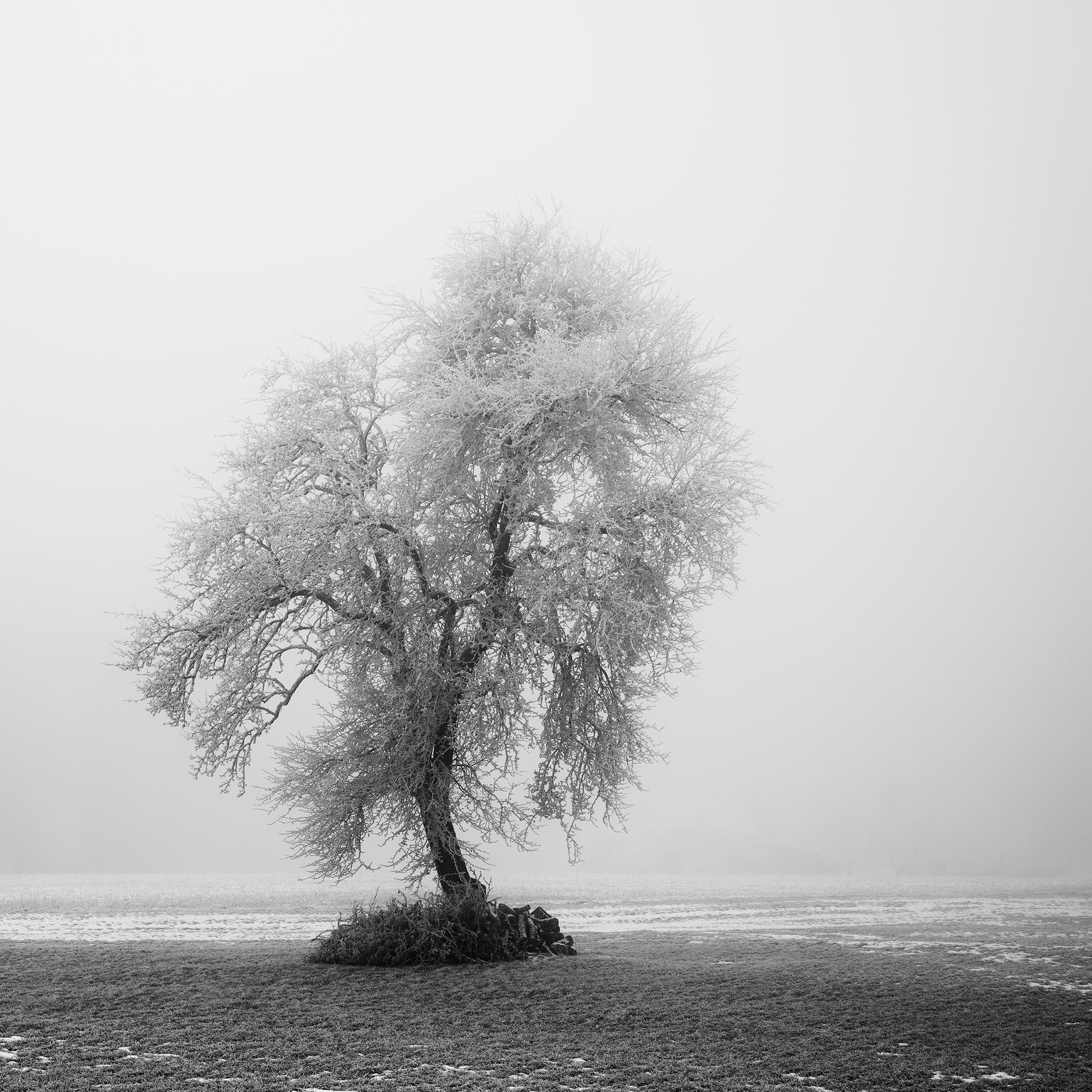 Black and White Photograph Gerald Berghammer - Paysage minimaliste, ferme givrée, terrain d'hiver, arbre solitaire, tirage limité