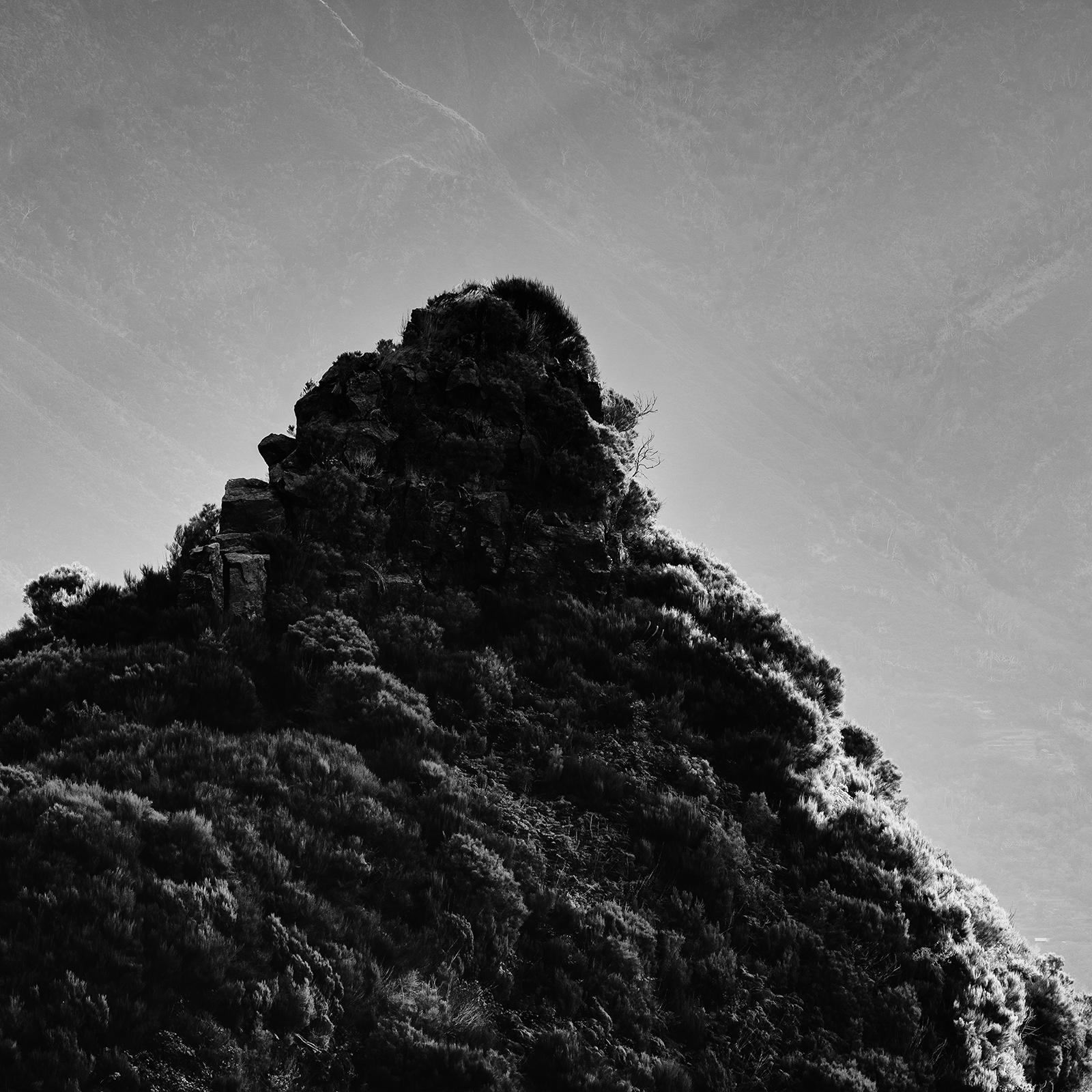 Luce del mattino in montagna, fotografia mono di grande formato, edizione limitata in vendita 5