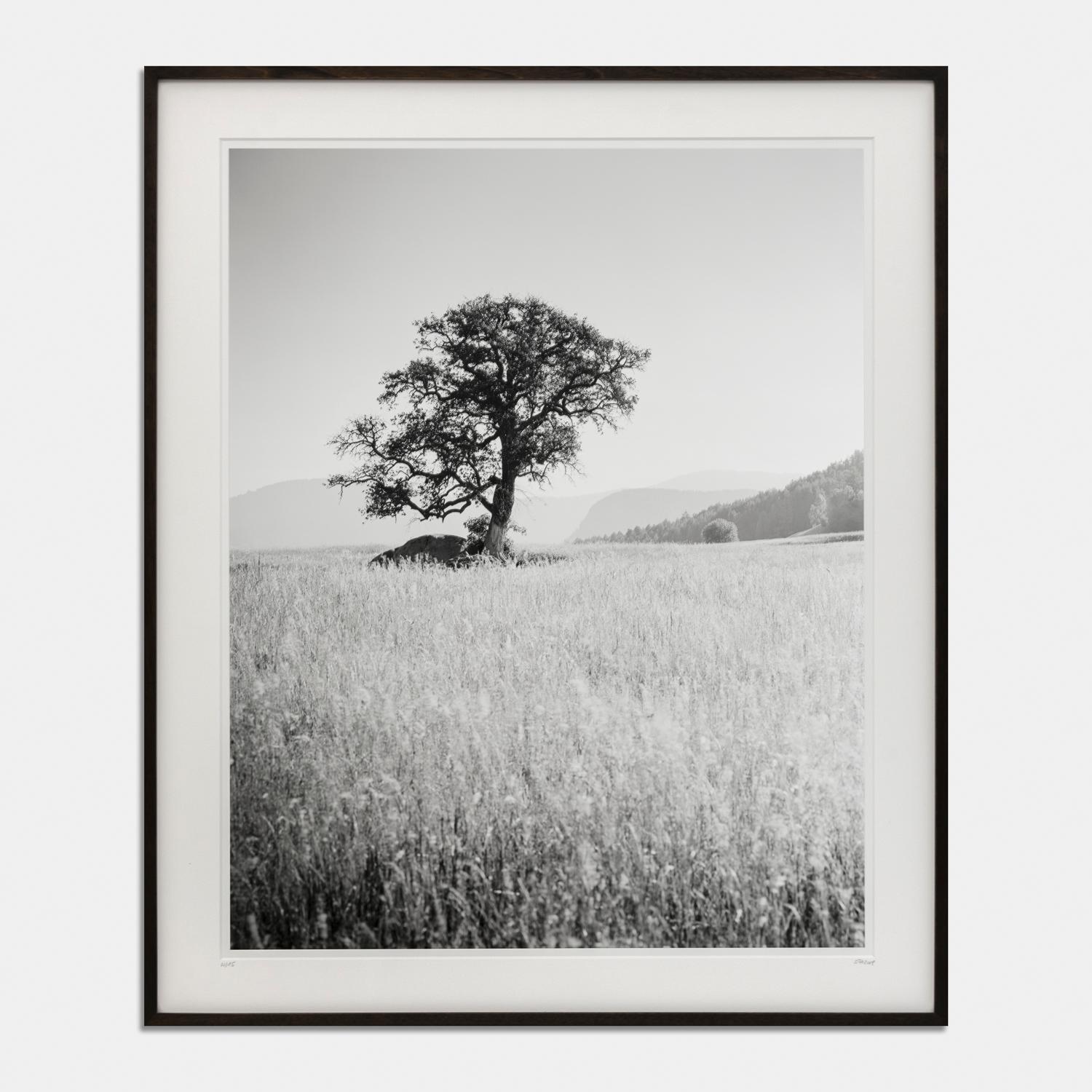 Gerald Berghammer Black and White Photograph - Morning Sun, Italy, black and white gelatin silver photography print, framed art