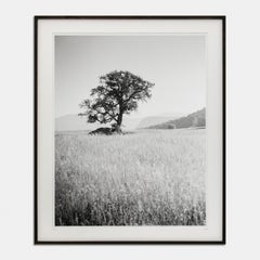 Morning Sun, Italy, black and white gelatin silver photography print, framed art