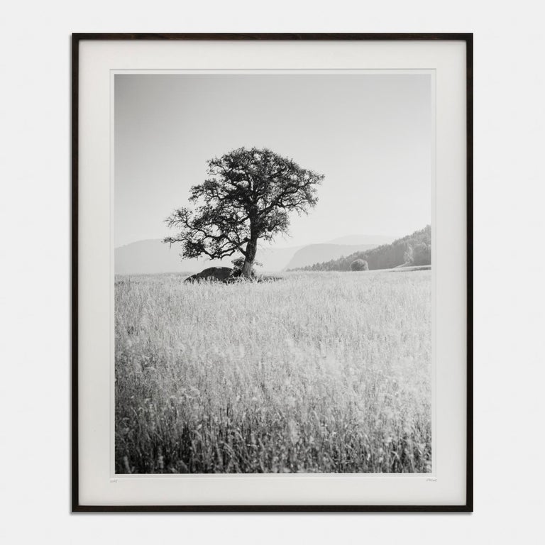 Gerald Berghammer Landscape Photograph - Morning Sun, Italy, black and white gelatin silver photography print, framed art