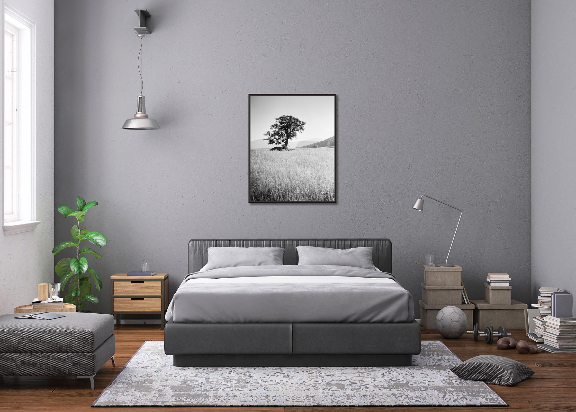 Morning Sun, single tree, Seiser Alm, black and white landscape, art photography For Sale 1