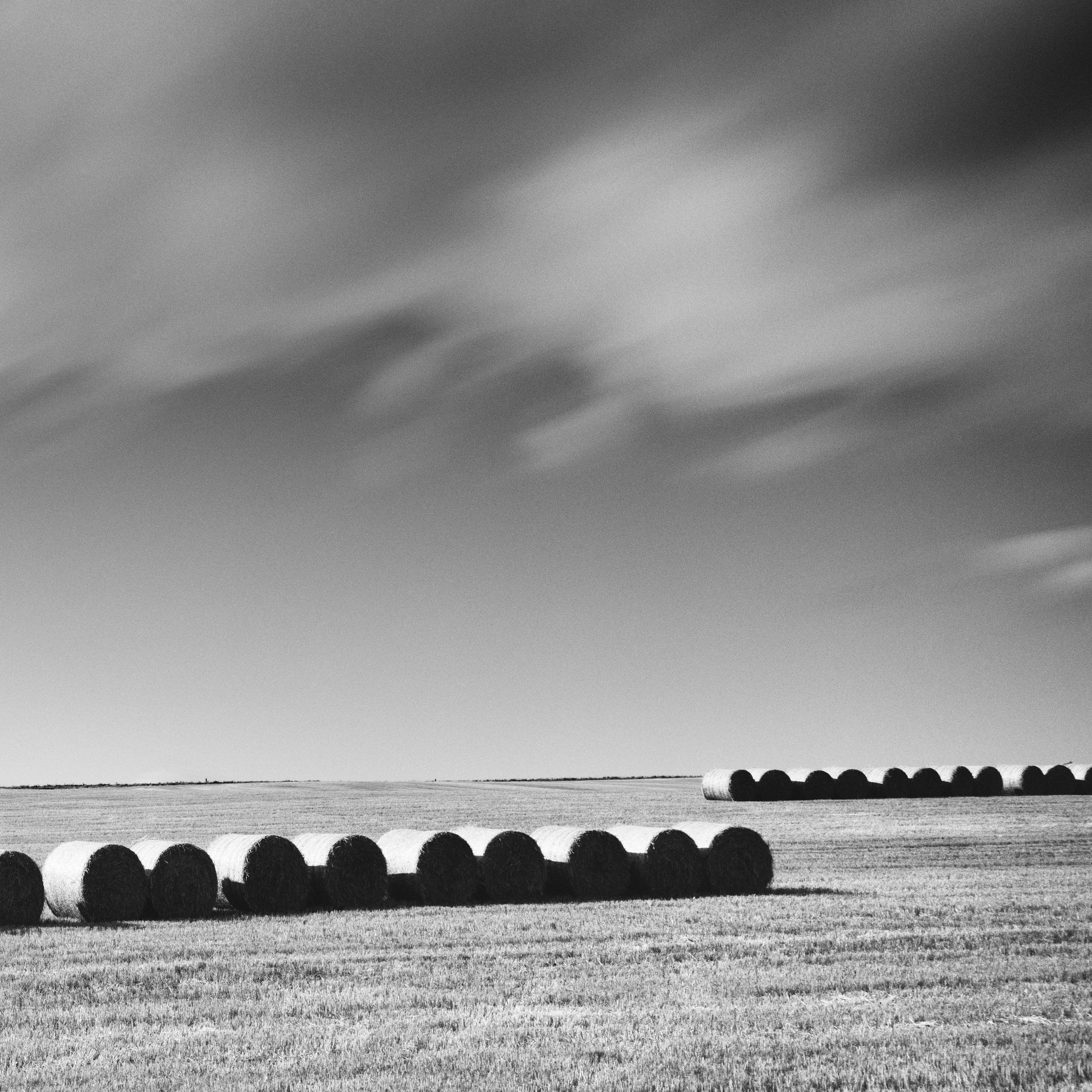 M. Monk Panorama, terres agricoles, bottes de paille, photo de paysage en noir et blanc. en vente 5
