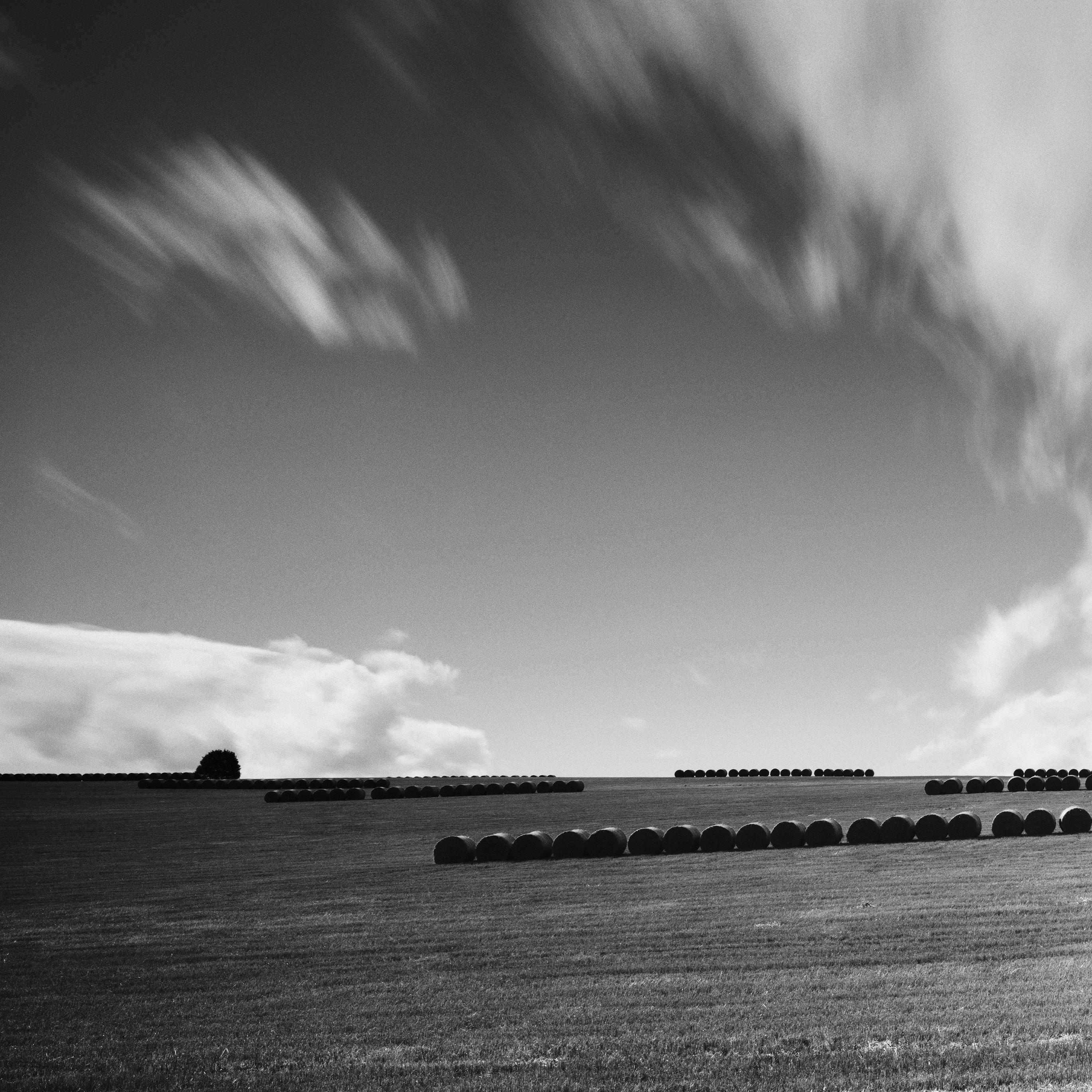 M. Monk Panorama, terres agricoles, bottes de paille, photo de paysage en noir et blanc. en vente 3