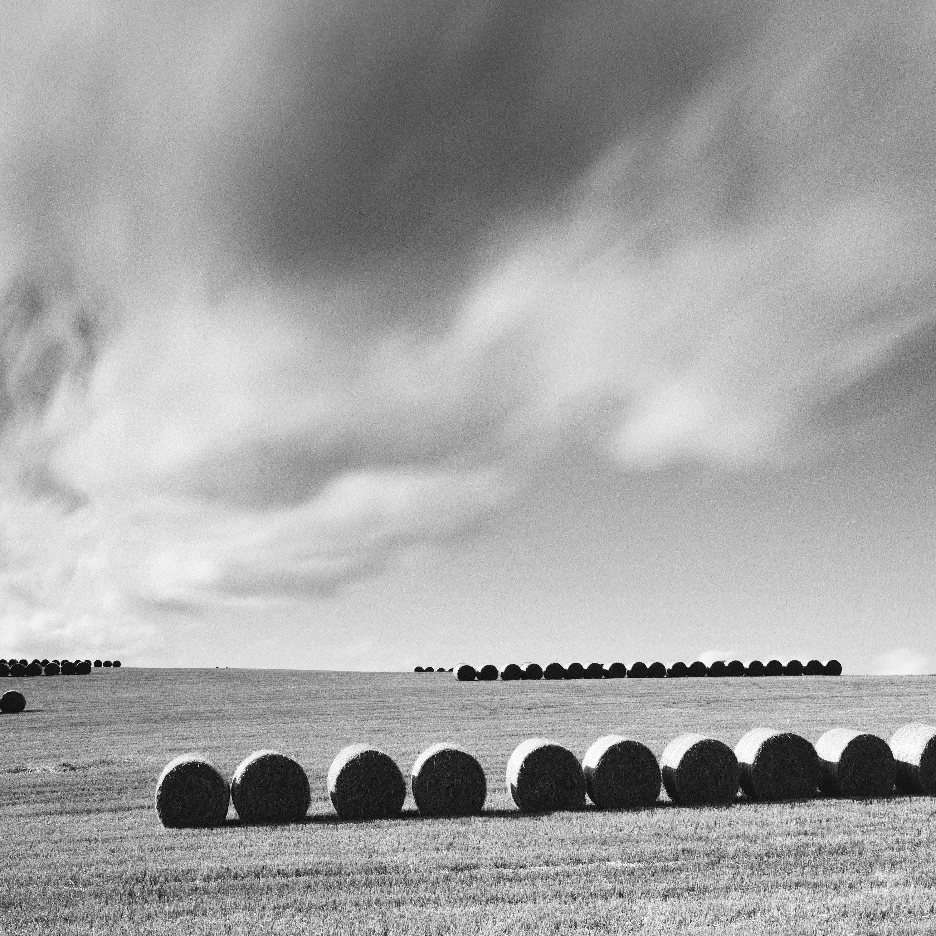 M. Monk Panorama, terres agricoles, bottes de paille, photo de paysage en noir et blanc. en vente 4