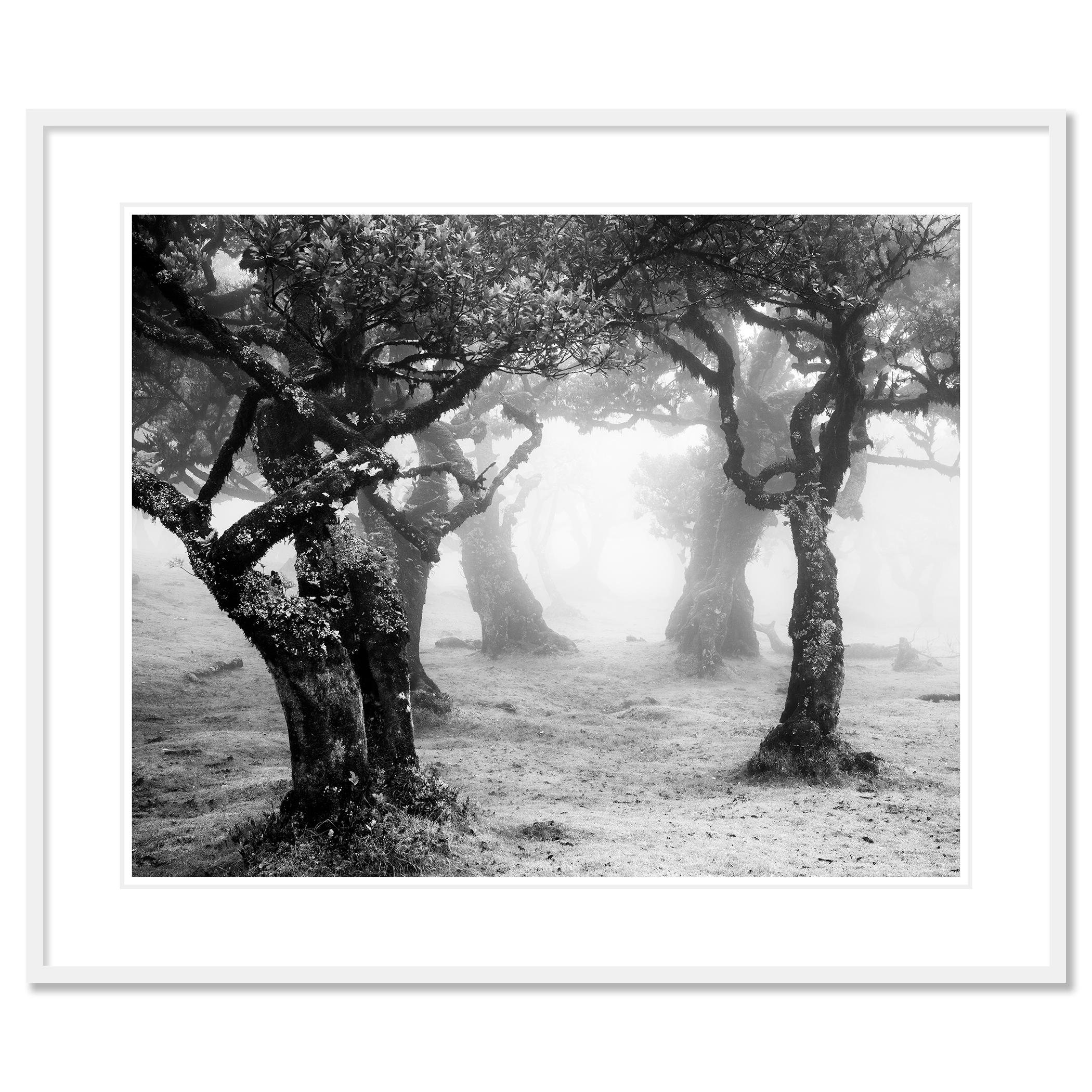Paisaje acuático de larga exposición en blanco y negro - fotografía de paisaje. Cascada gigantesca Skogafoss, Islandia. Impresión en tinta de pigmento de archivo, edición de 7. Firmada, titulada, fechada y numerada por el artista. Certificado de
