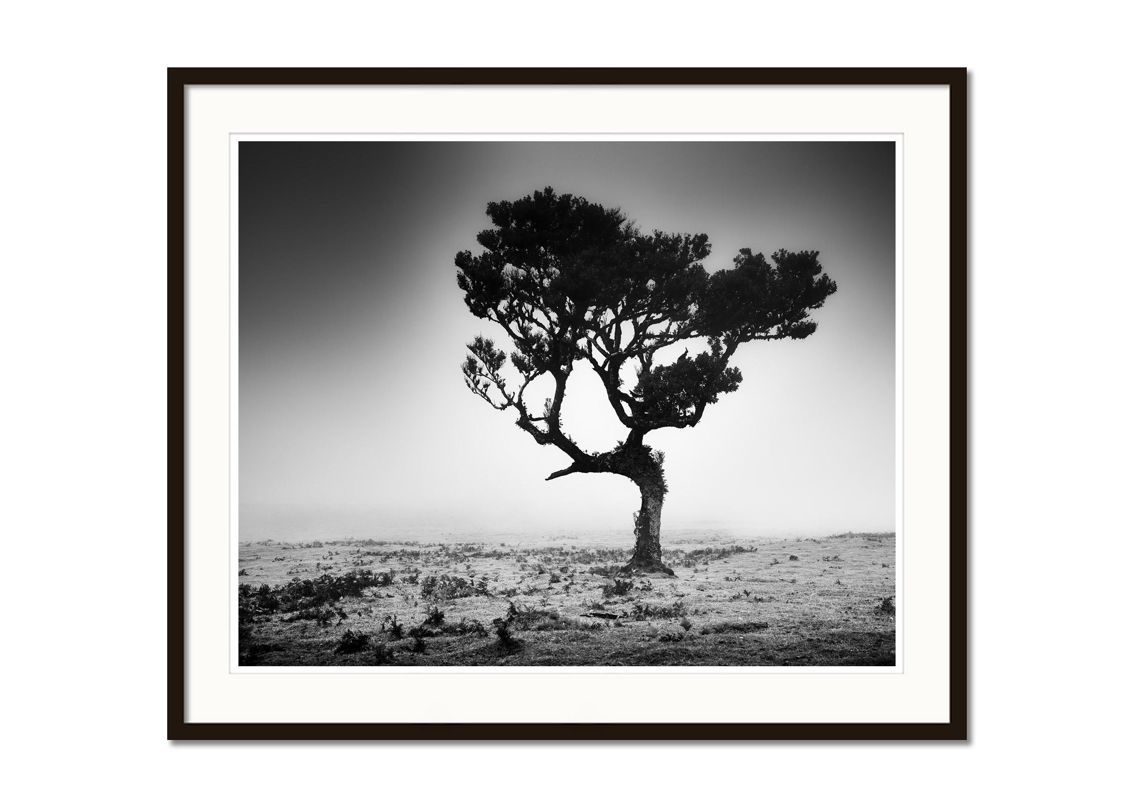 Black and white fine art landscape photography. Archival pigment ink print as part of a limited edition of 7. All Gerald Berghammer prints are made to order in limited editions on Hahnemuehle Photo Rag Baryta. Each print is stamped on the back and