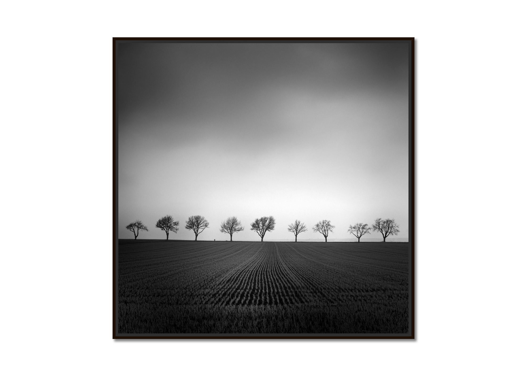 Neuf cerisiers, champ de maïs, photographie noir et blanc, paysage, beaux-arts - Photograph de Gerald Berghammer