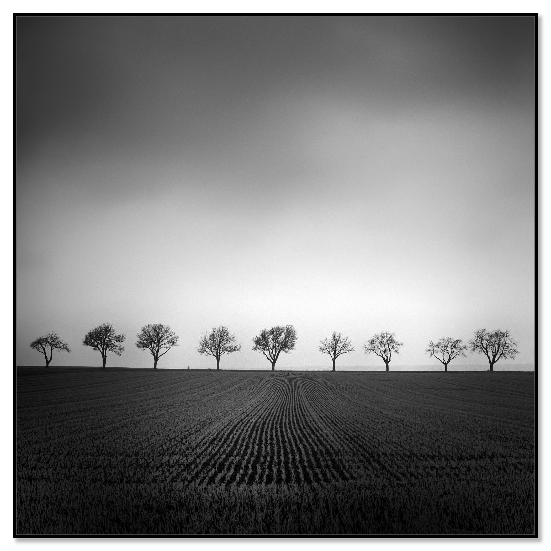 Nine Cherry Trees Farmland Cornfield monochrome landscape - Photograph by Gerald Berghammer