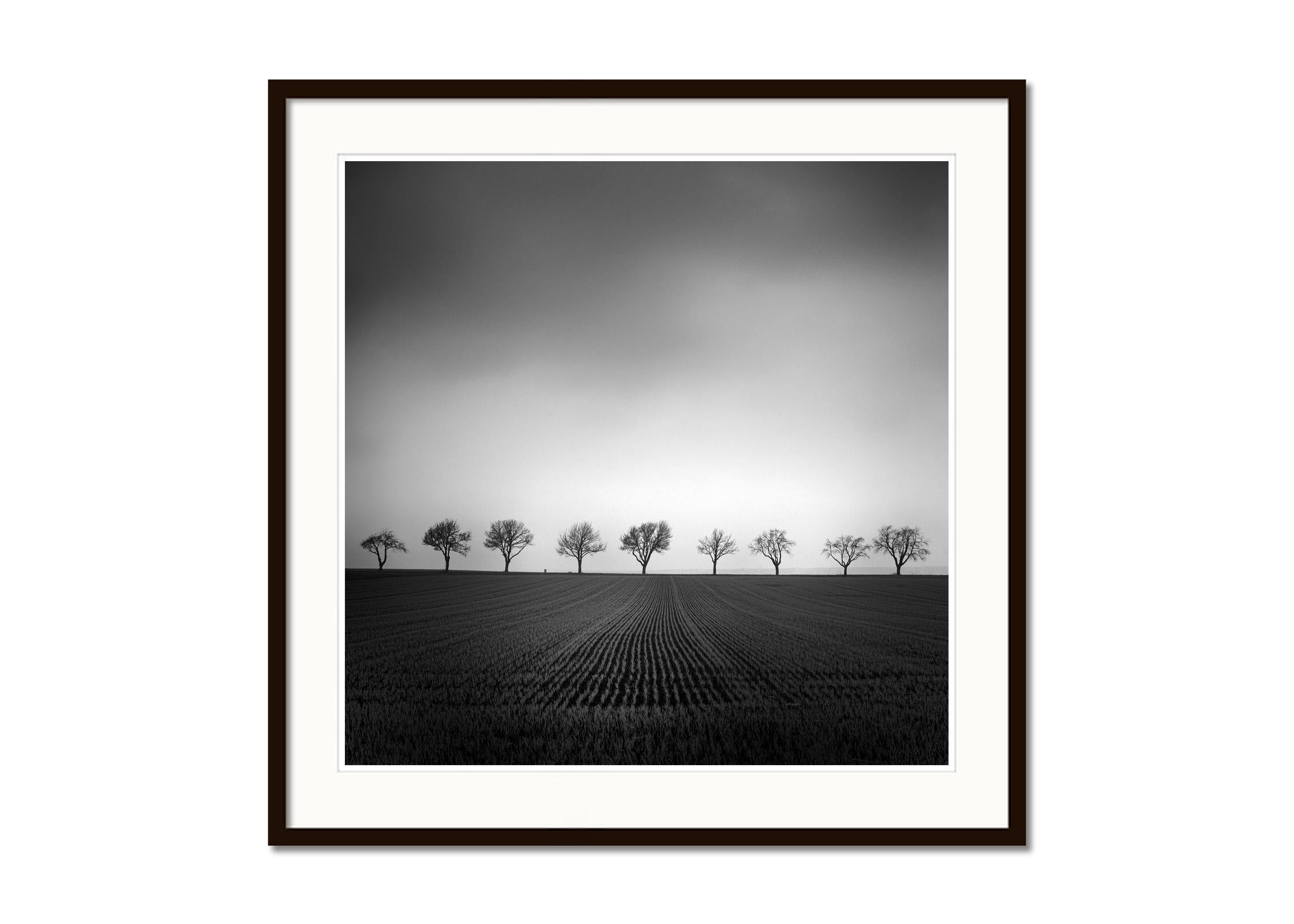 Neuf cerisiers, champ de maïs, photographie noir et blanc, paysage, beaux-arts - Noir Landscape Photograph par Gerald Berghammer
