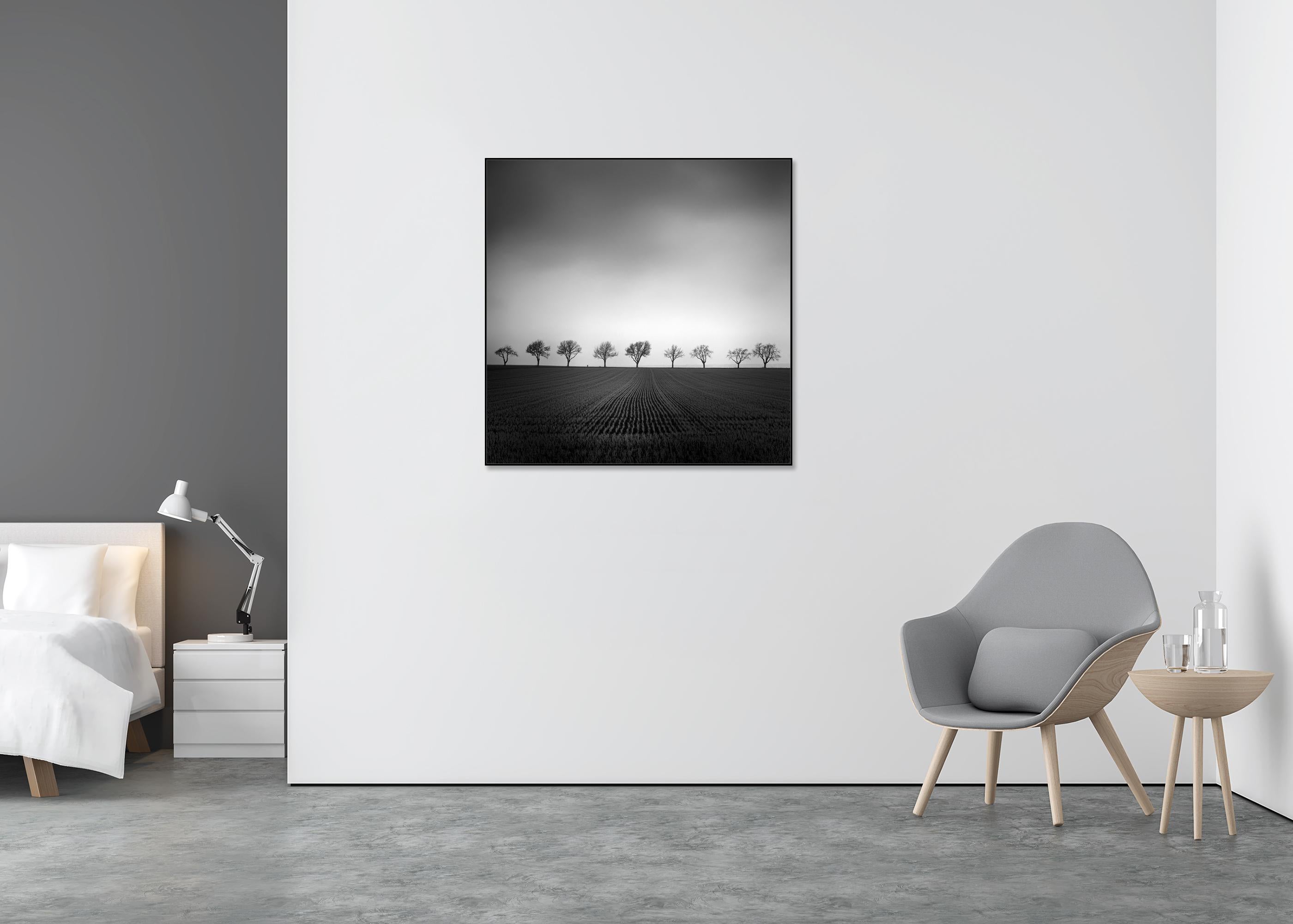 Nine Cherry Trees Farmland Cornfield monochrome landscape - Black Landscape Photograph by Gerald Berghammer