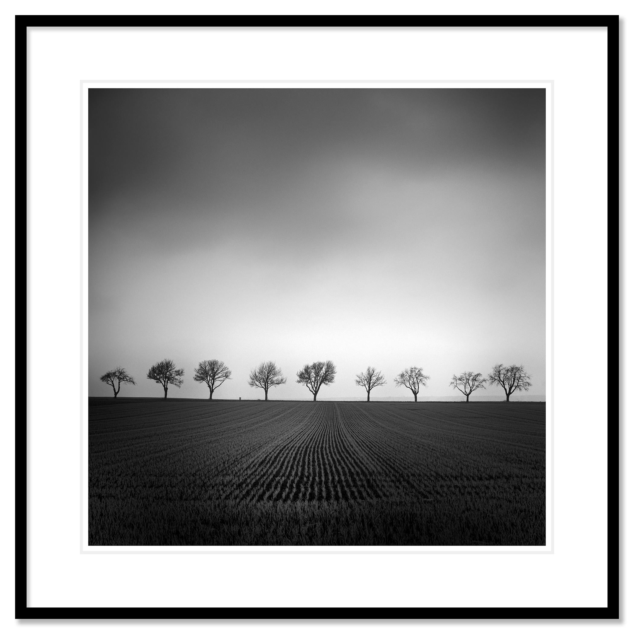Nine Cherry Trees Study 2, Austria - no. 18138
Pigment ink print as part of a limited edition of 9. All prints are made to order in limited editions on Hahnemuehle Photo Rag Baryta. Each print is stamped on the back and signed and numbered by Gerald
