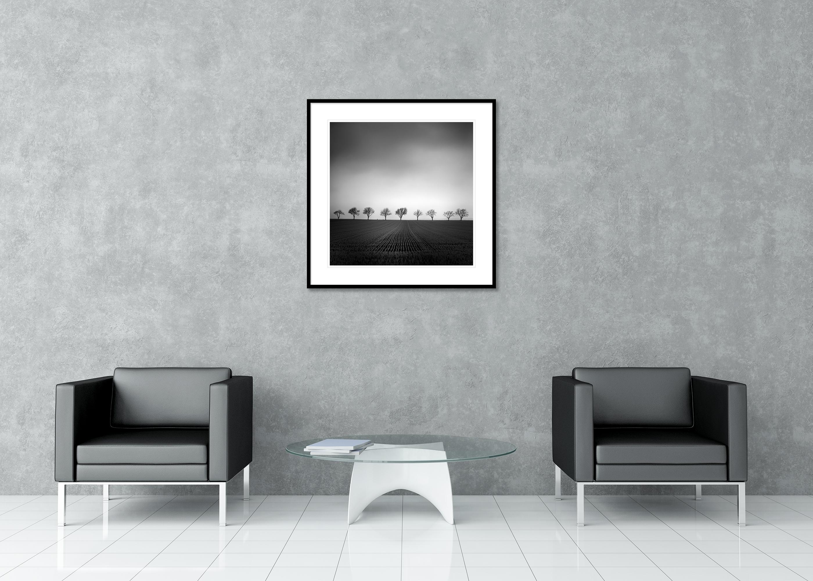 Nine Cherry Trees Farmland Cornfield monochrome landscape For Sale 2