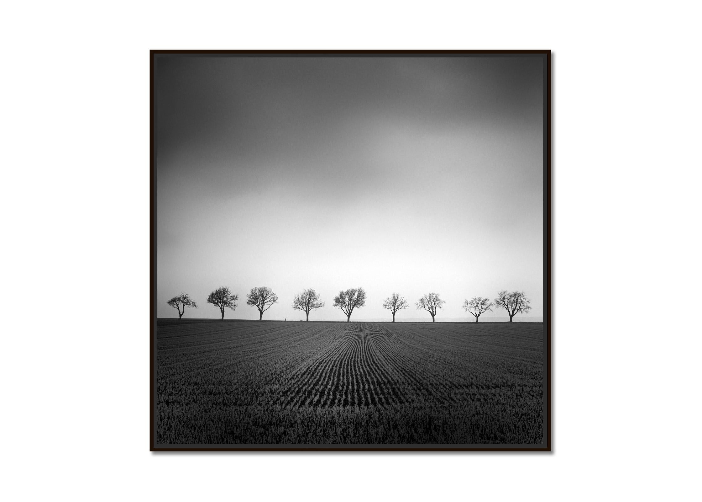 Nine Cherry Trees Corn Field black & white fine art landscape photography print - Photograph by Gerald Berghammer